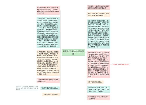 荨麻根的功能主治|用法用量