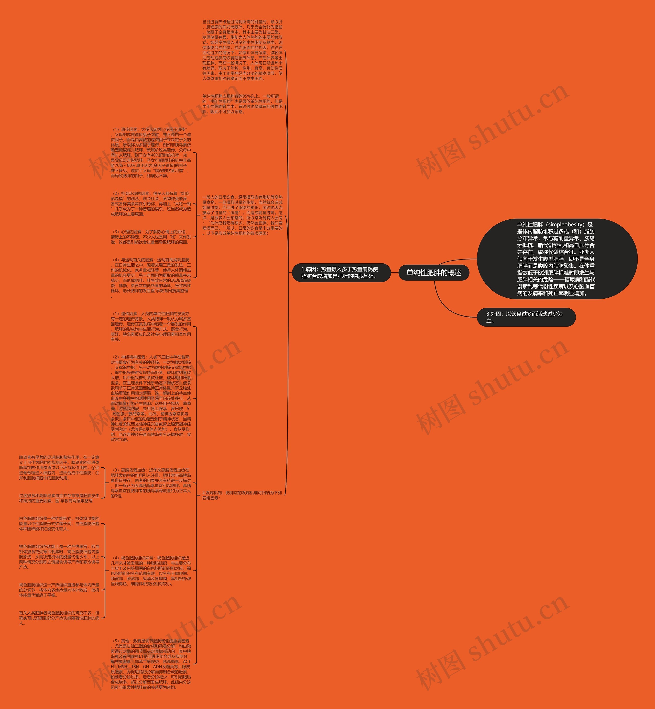 单纯性肥胖的概述思维导图