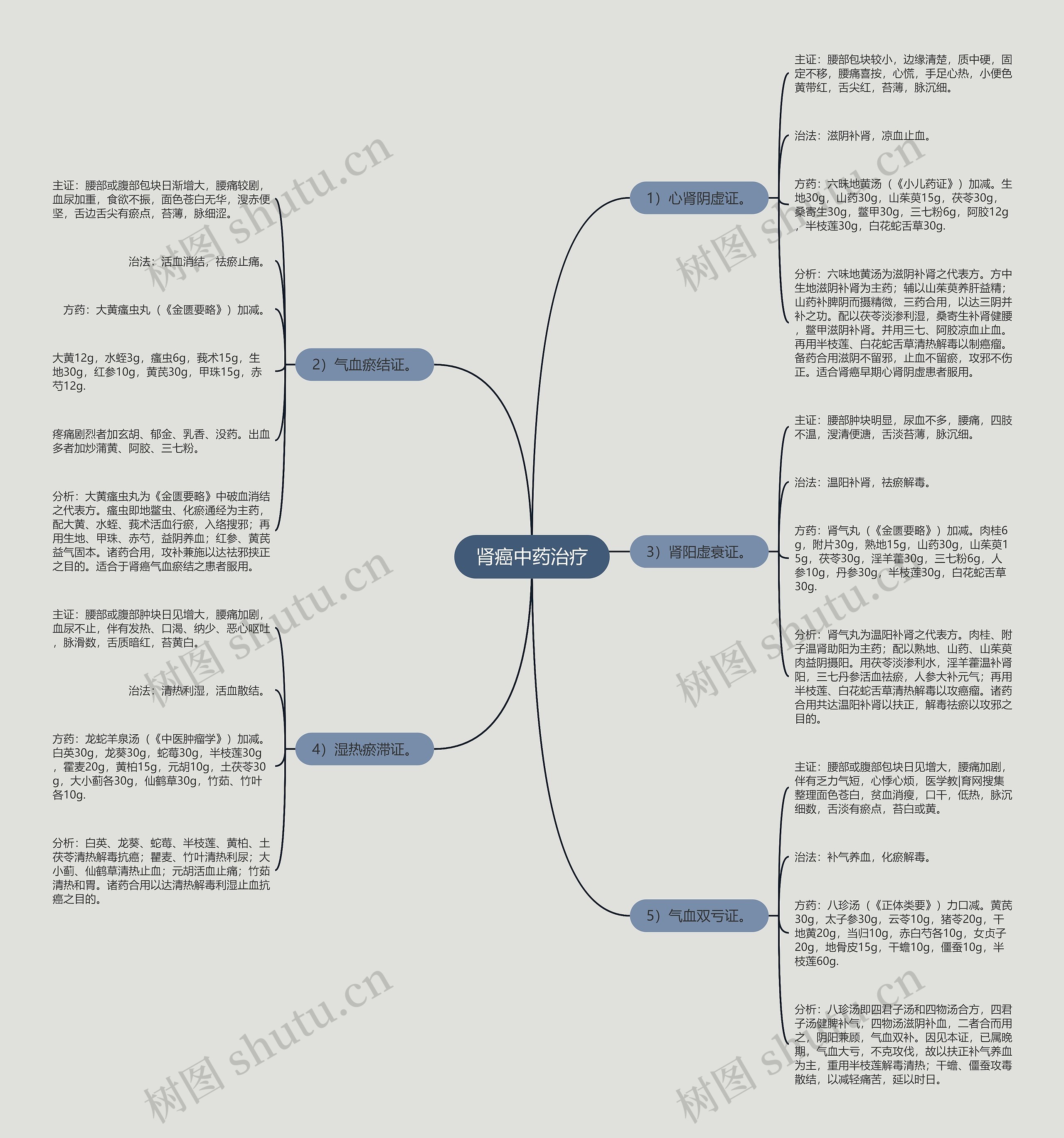 肾癌中药治疗思维导图