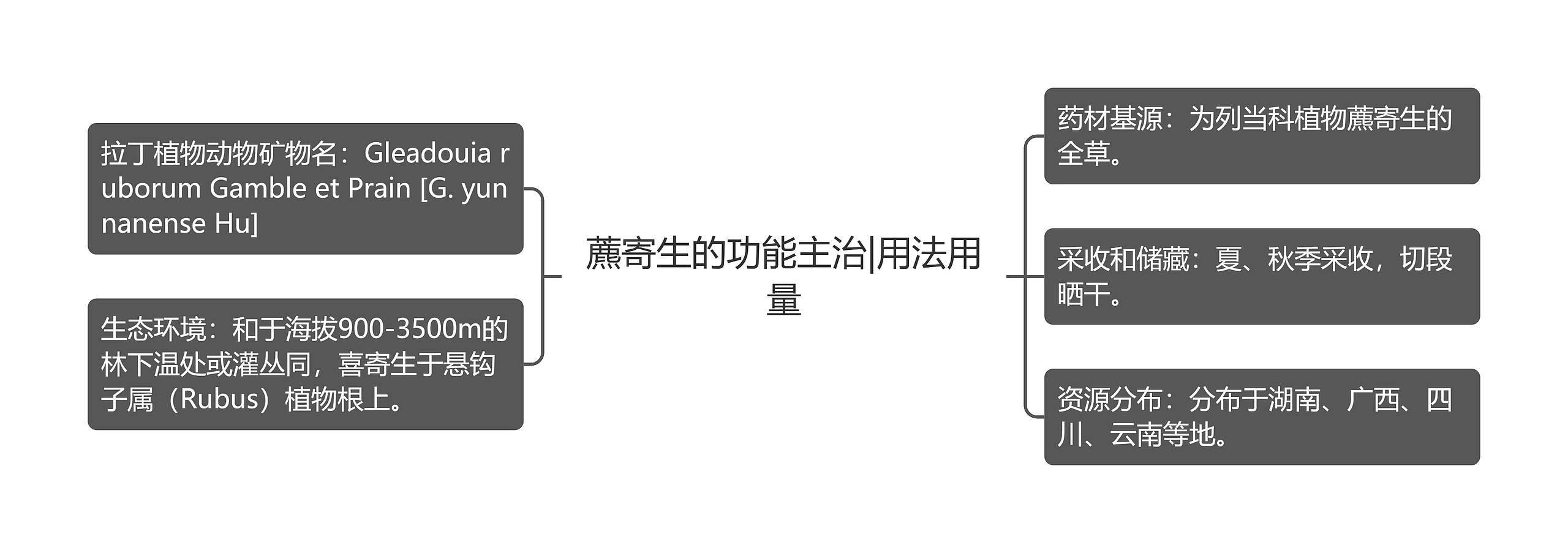 藨寄生的功能主治|用法用量