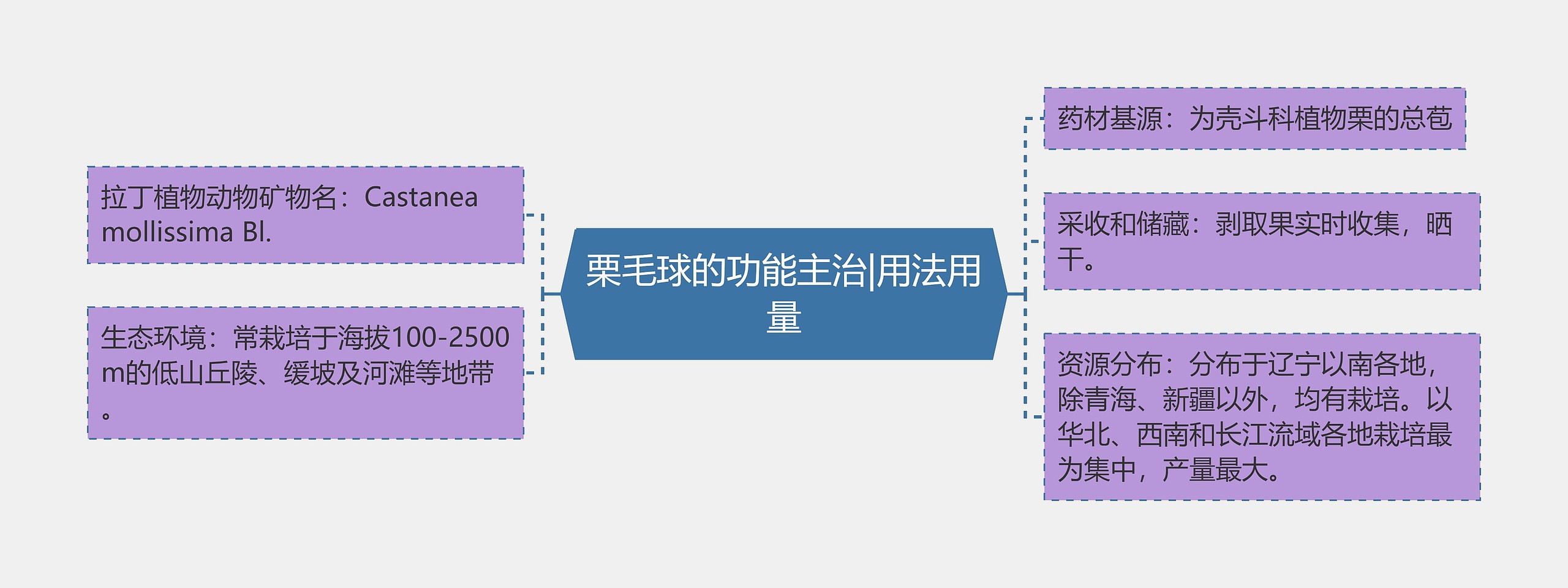 栗毛球的功能主治|用法用量