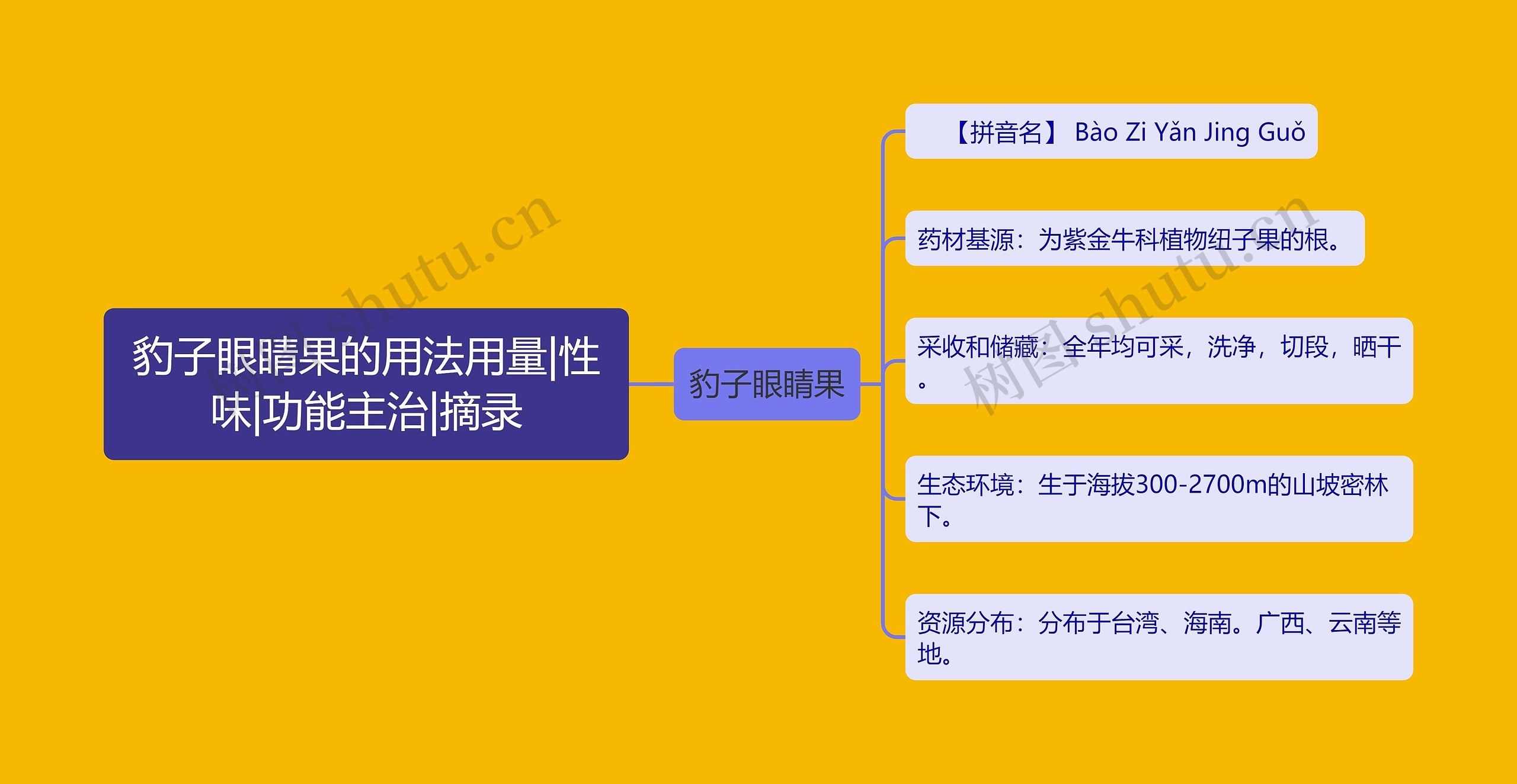 豹子眼睛果的用法用量|性味|功能主治|摘录思维导图