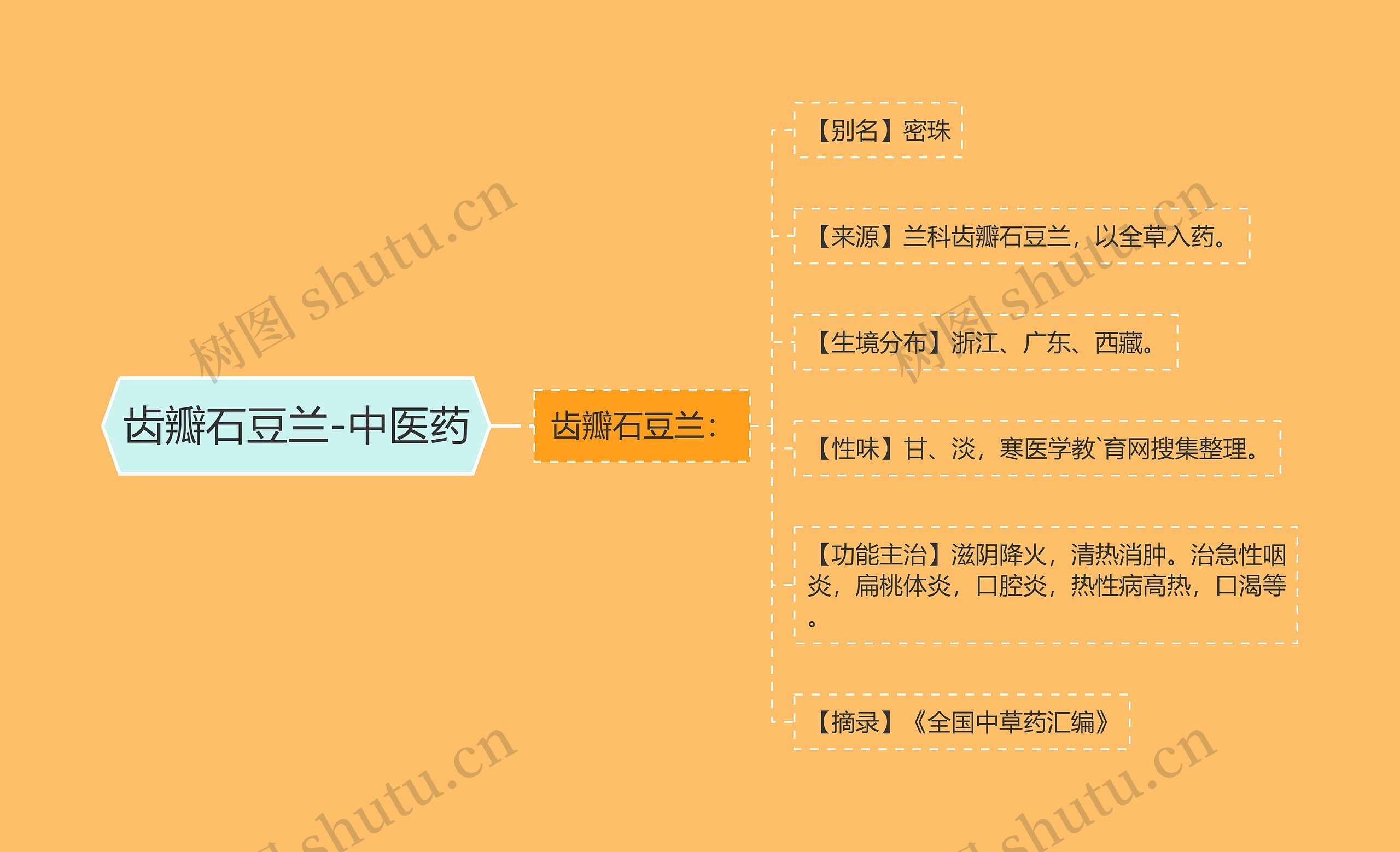 齿瓣石豆兰-中医药思维导图