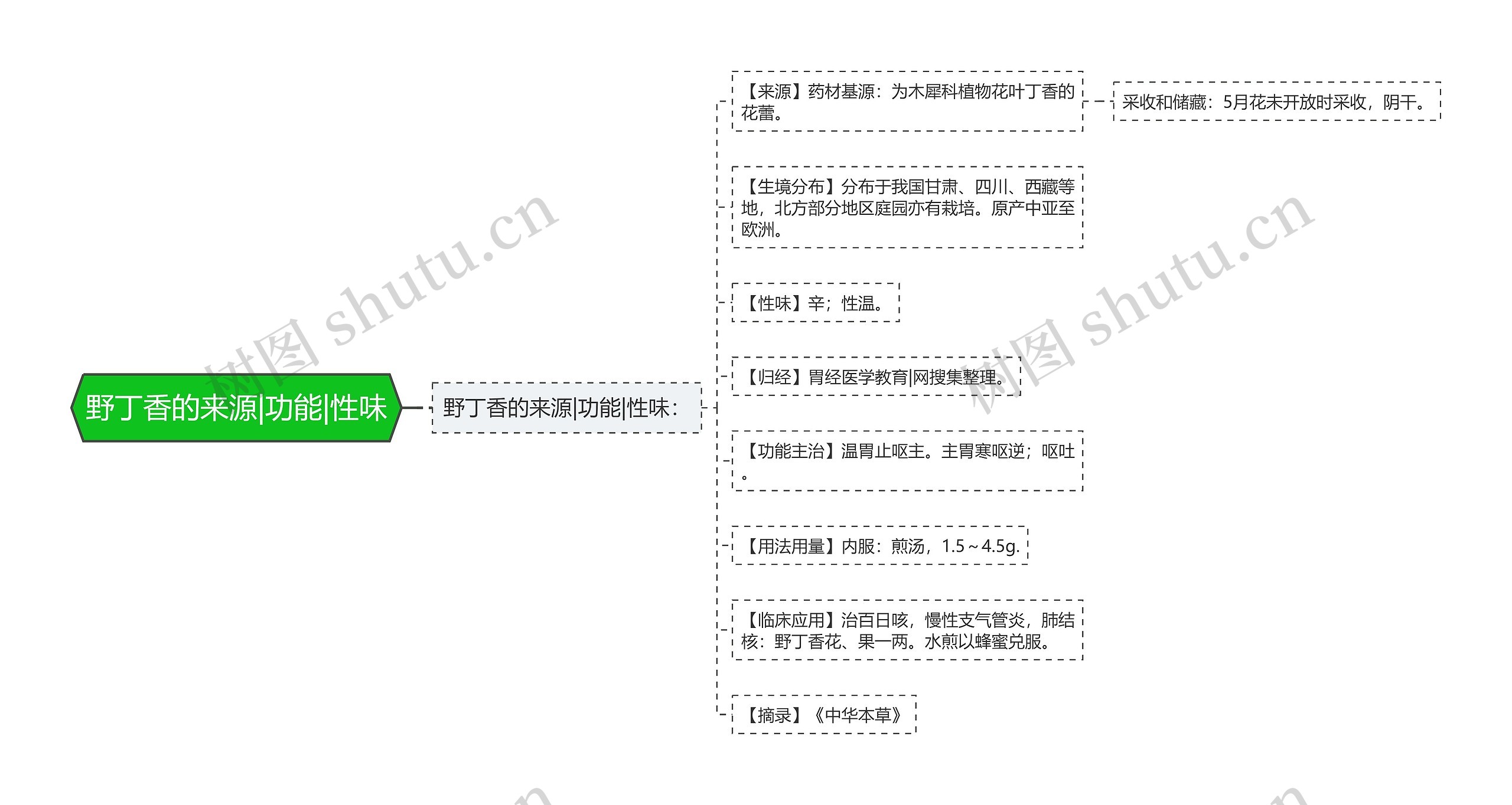 野丁香的来源|功能|性味思维导图