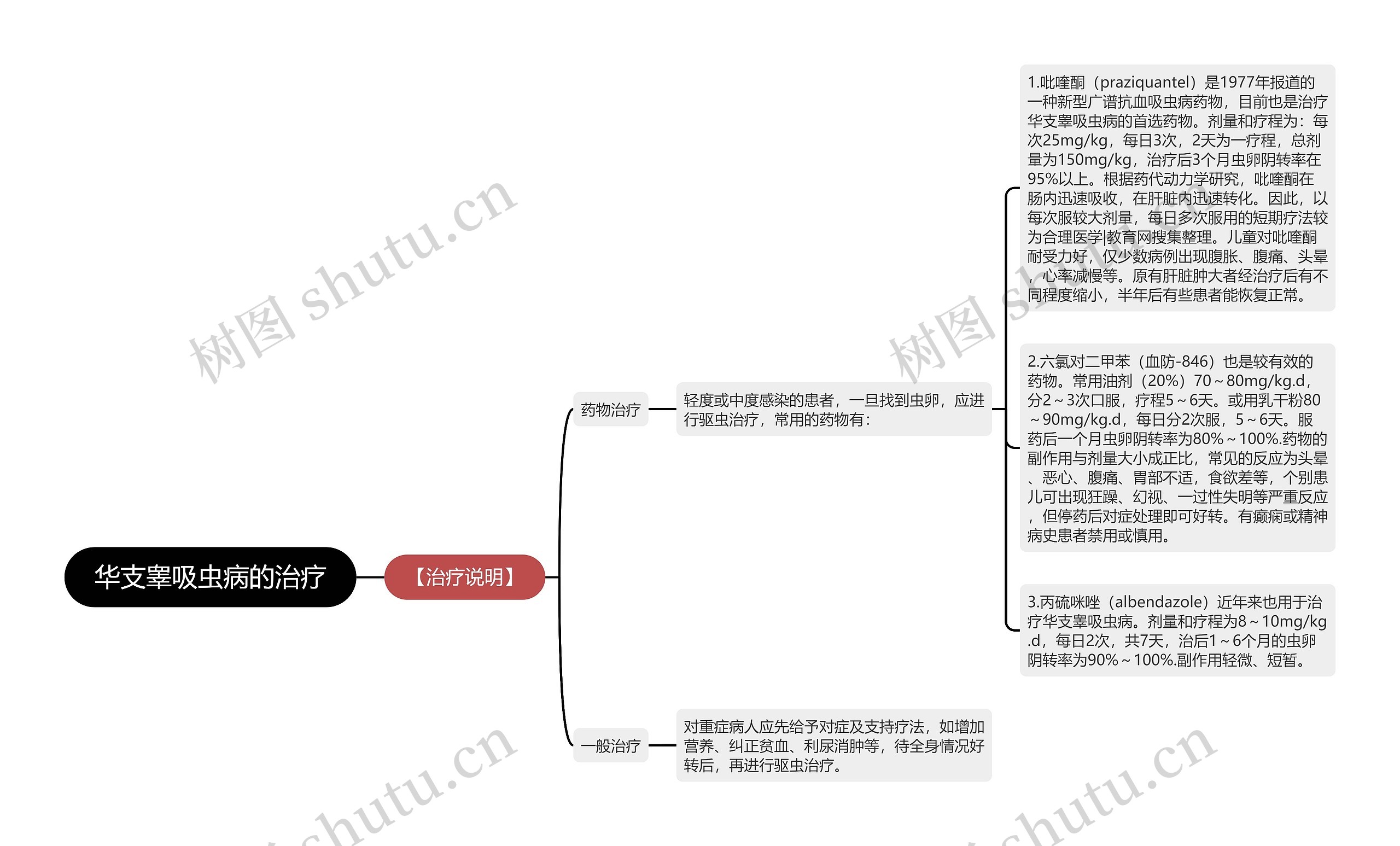 华支睾吸虫病的治疗思维导图