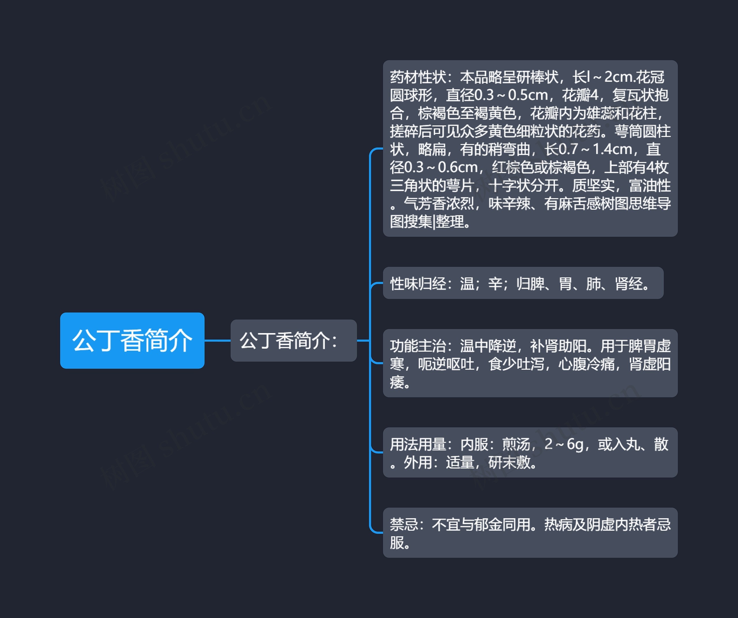 公丁香简介