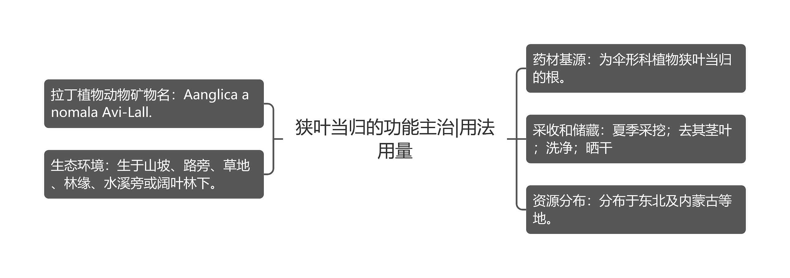 狭叶当归的功能主治|用法用量思维导图