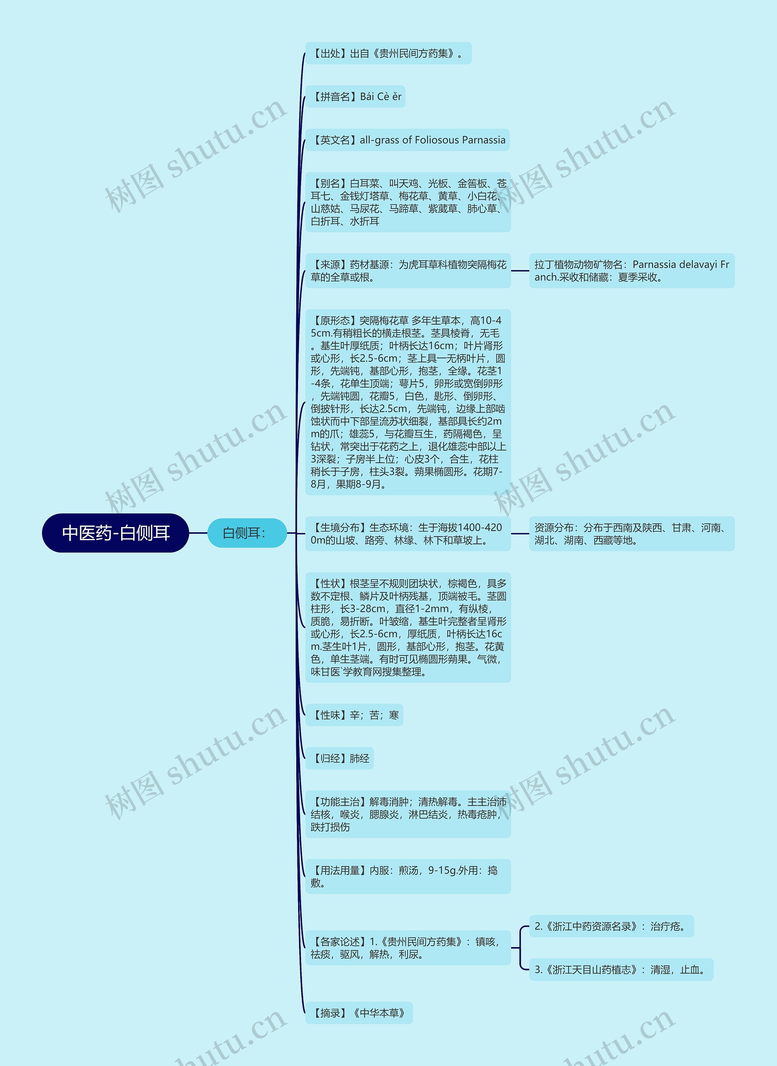 中医药-白侧耳思维导图