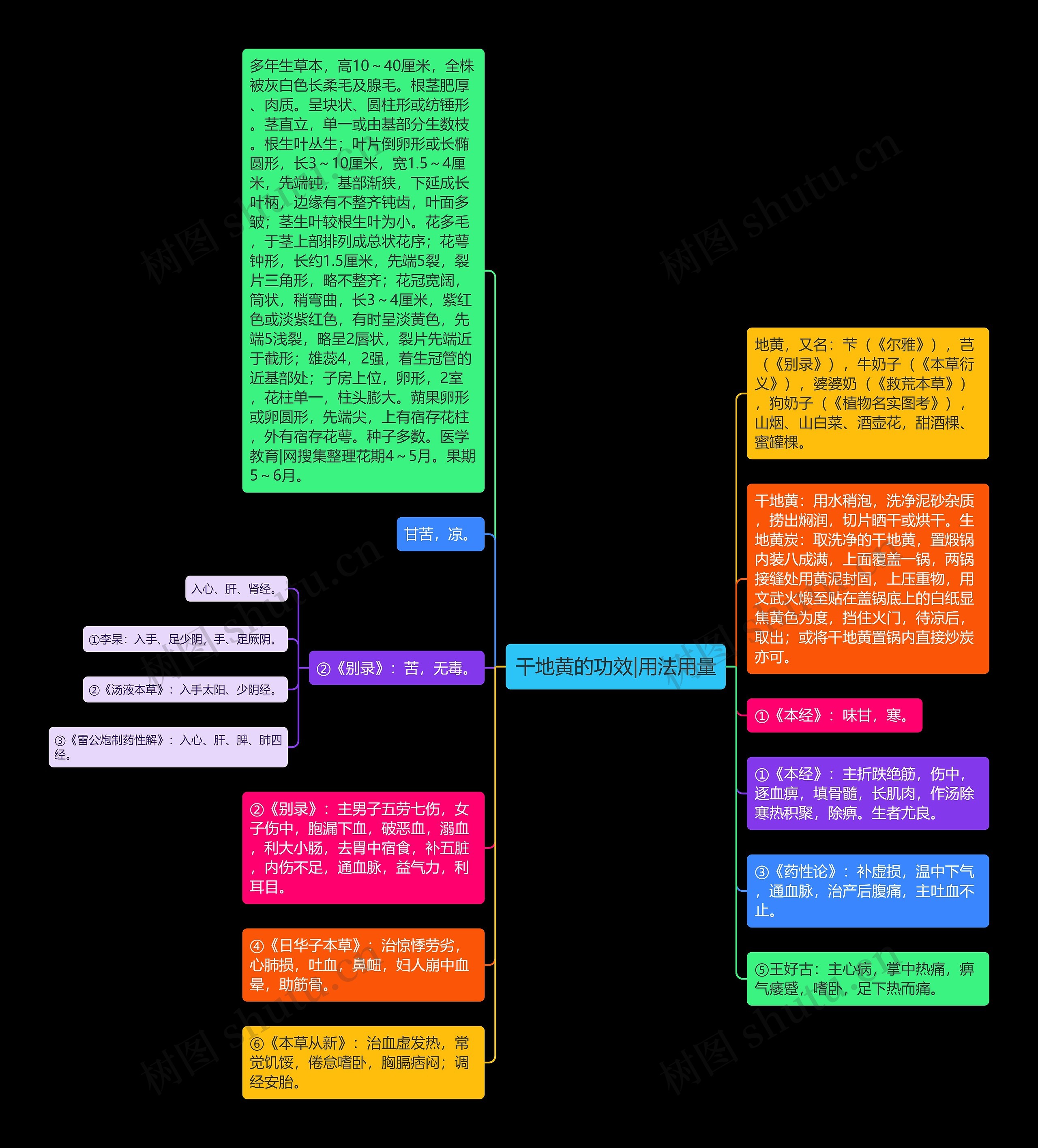 干地黄的功效|用法用量思维导图