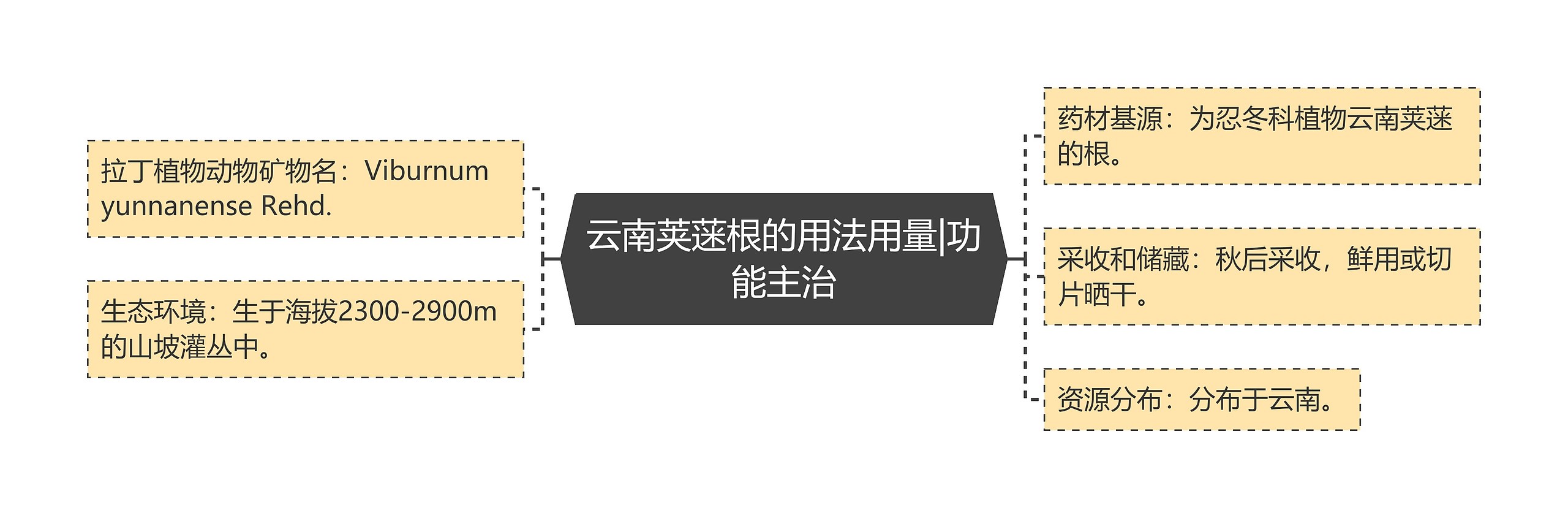 云南荚蒾根的用法用量|功能主治