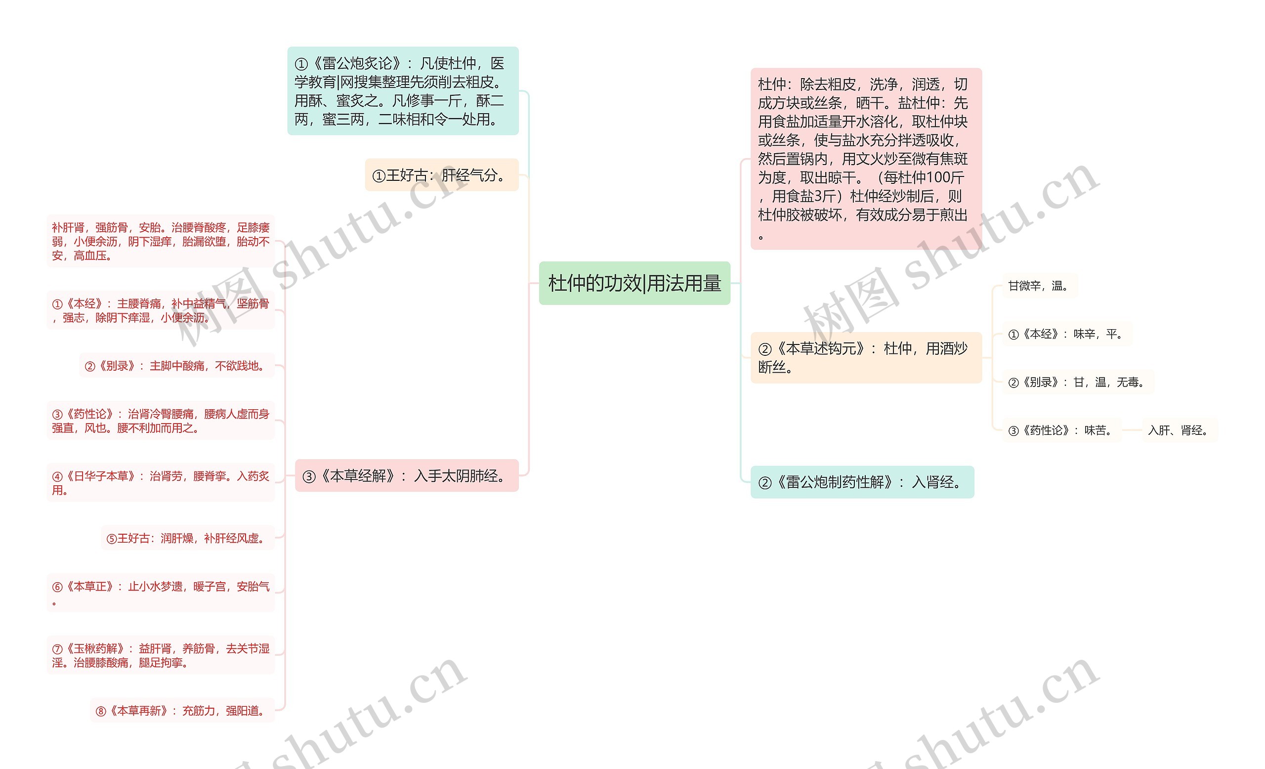 杜仲的功效|用法用量