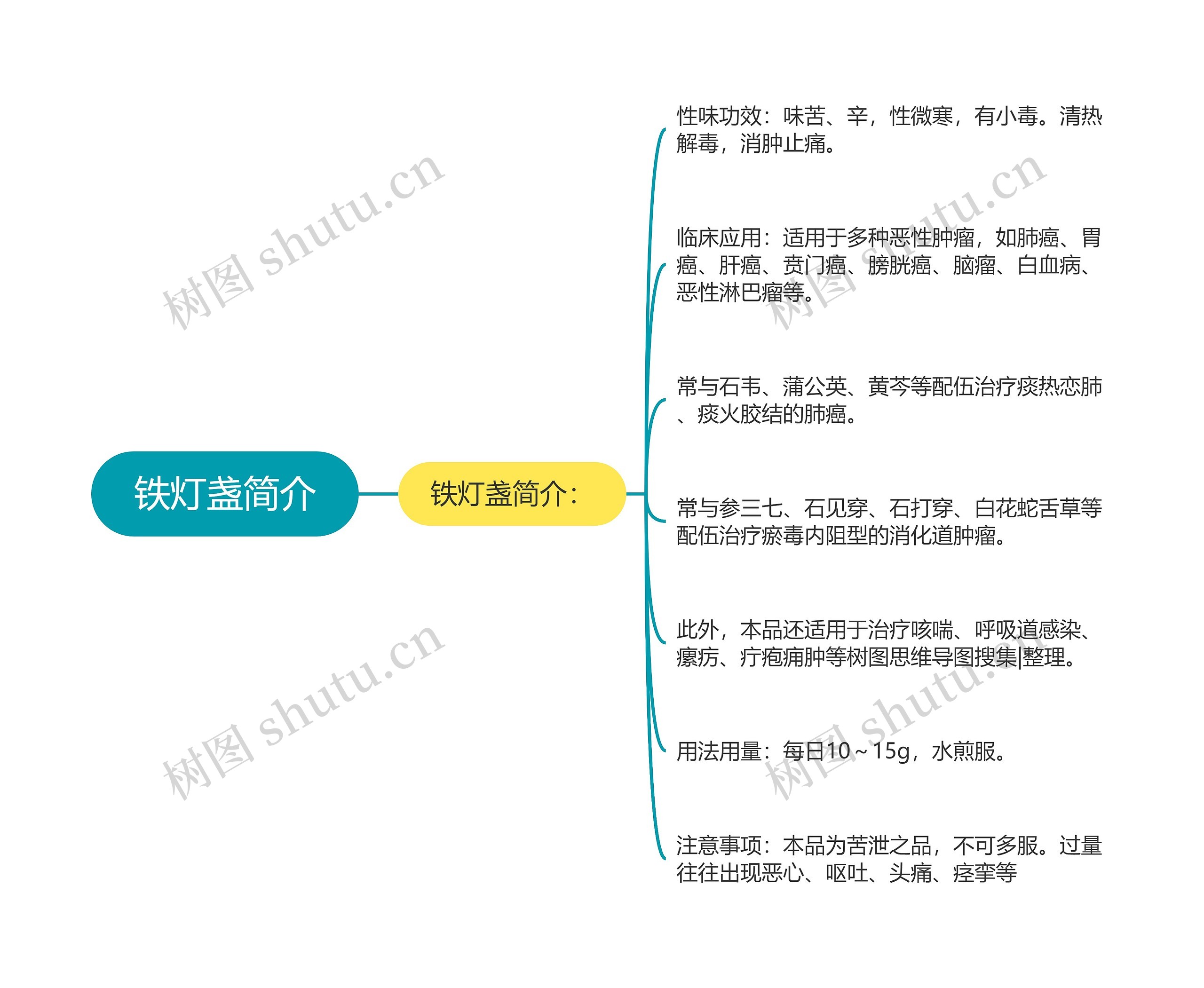 铁灯盏简介思维导图