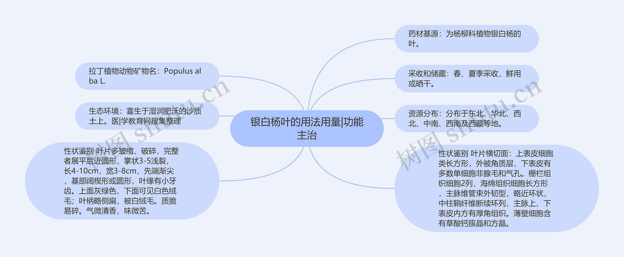 银白杨叶的用法用量|功能主治思维导图