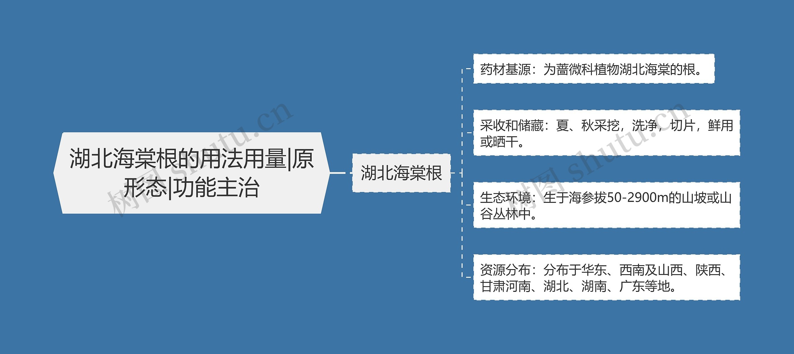 湖北海棠根的用法用量|原形态|功能主治 湖北海棠根的用法用量|原形态|功能主治