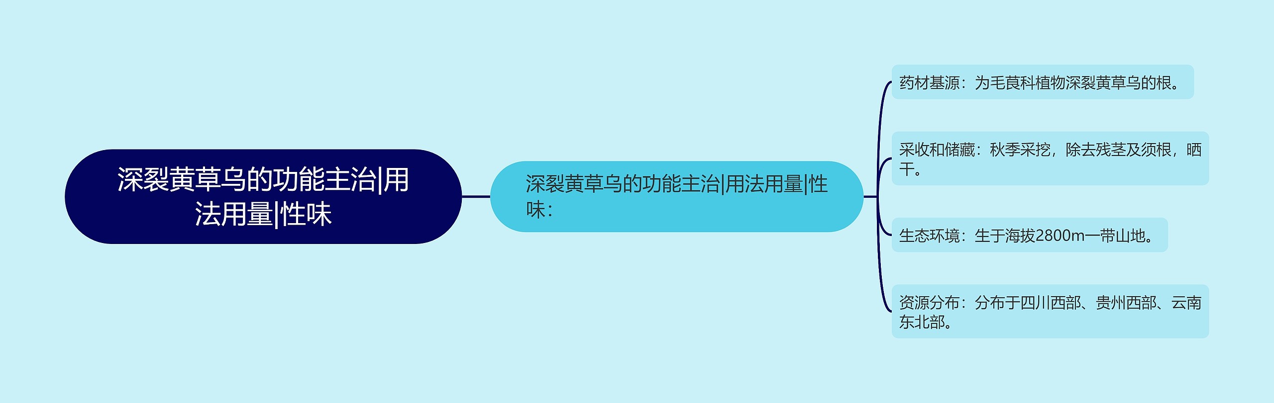 深裂黄草乌的功能主治|用法用量|性味