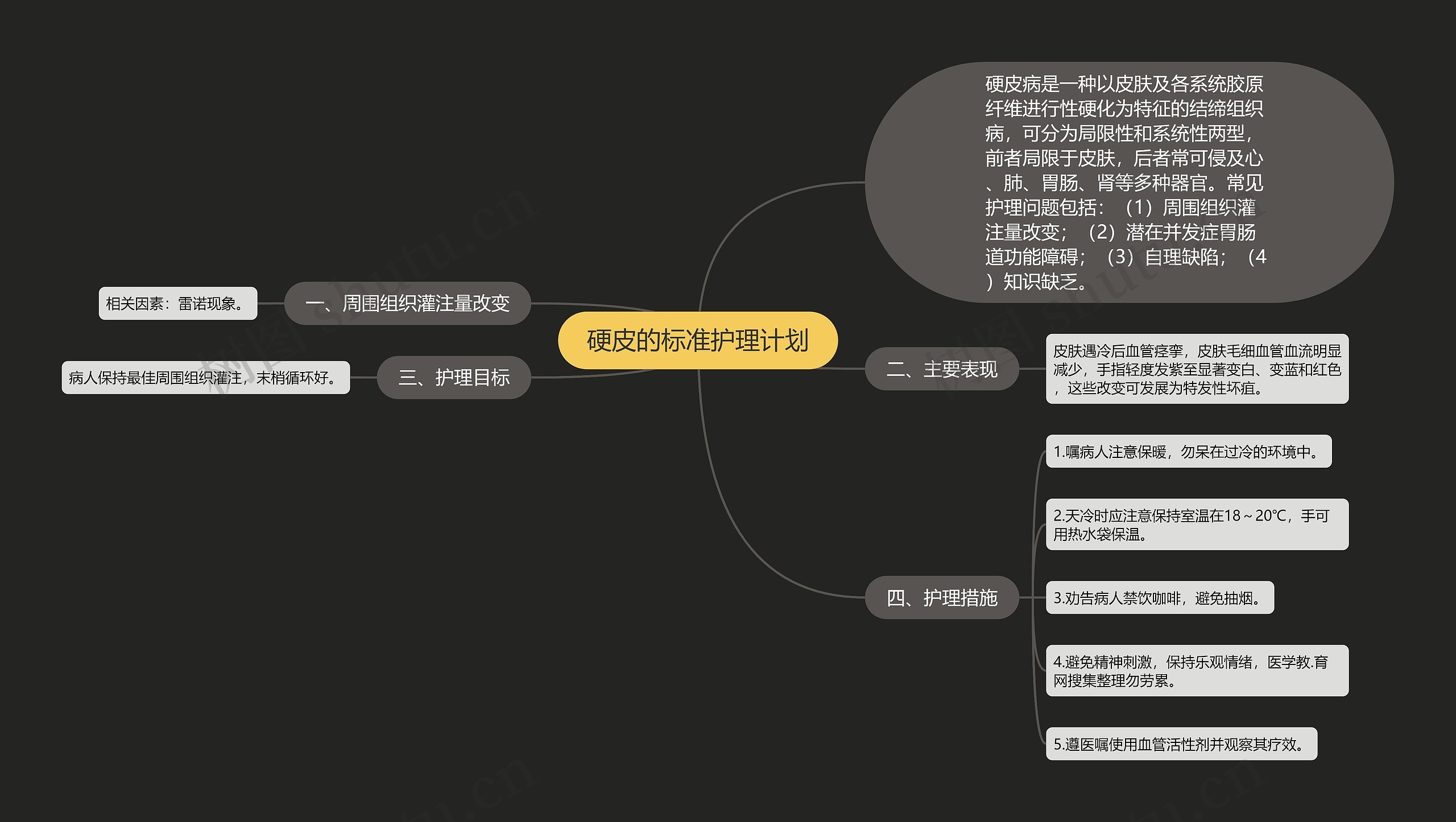 硬皮的标准护理计划思维导图