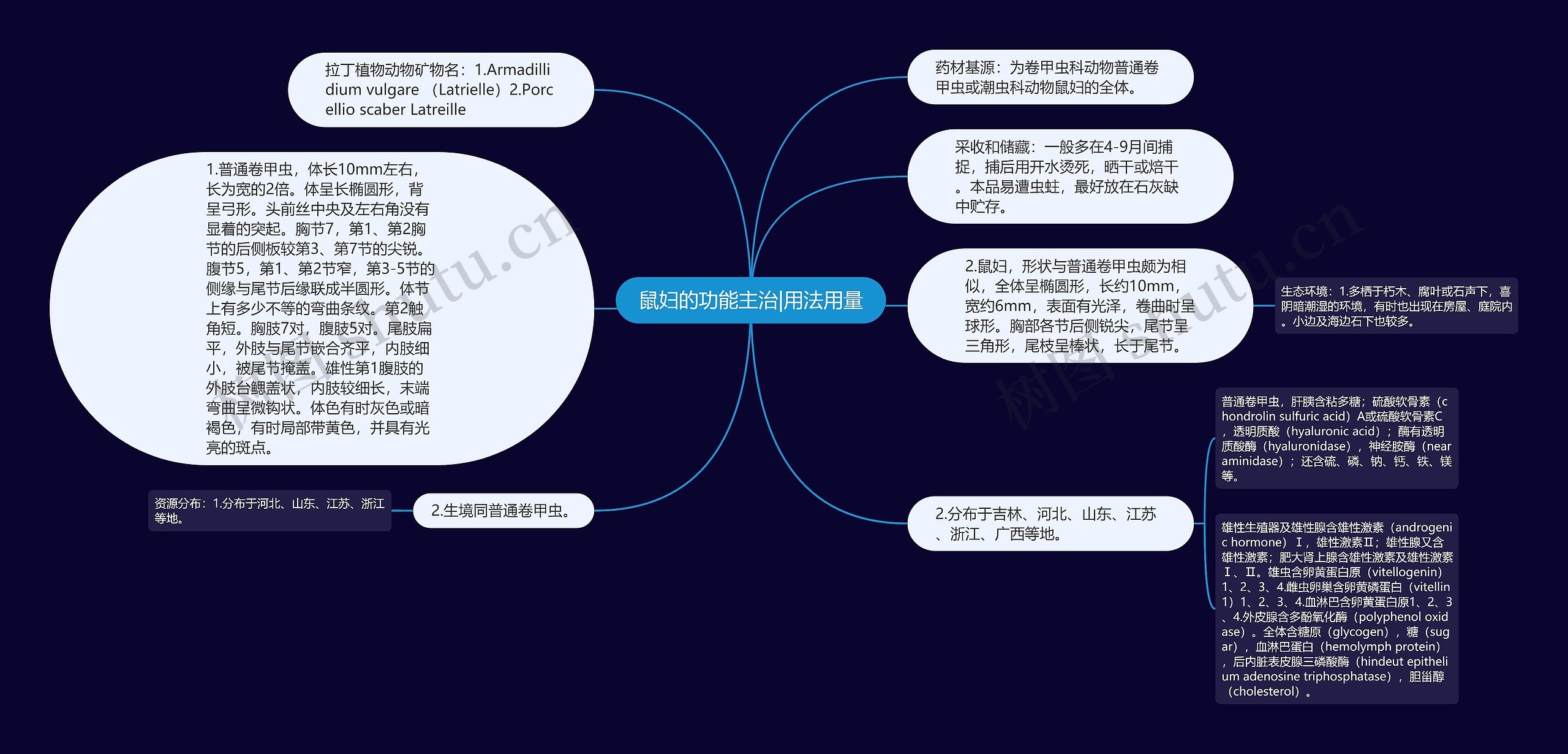 鼠妇的功能主治|用法用量思维导图