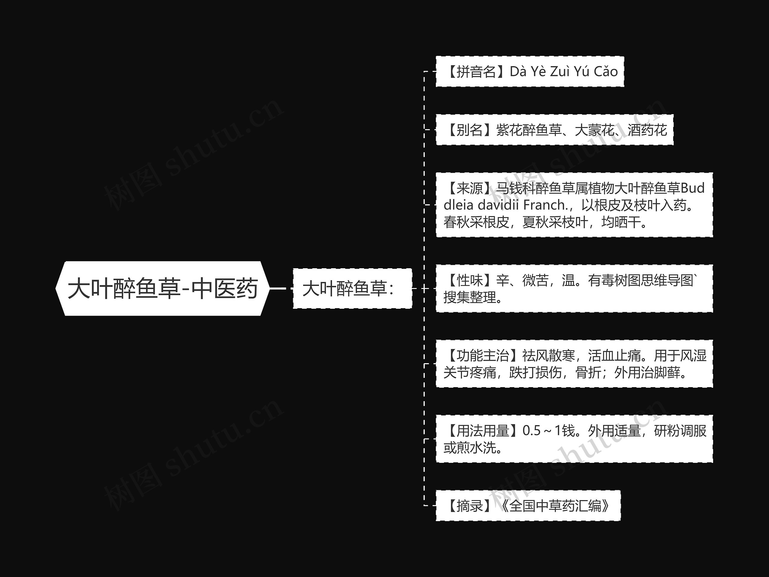 大叶醉鱼草-中医药 大叶醉鱼草-中医药