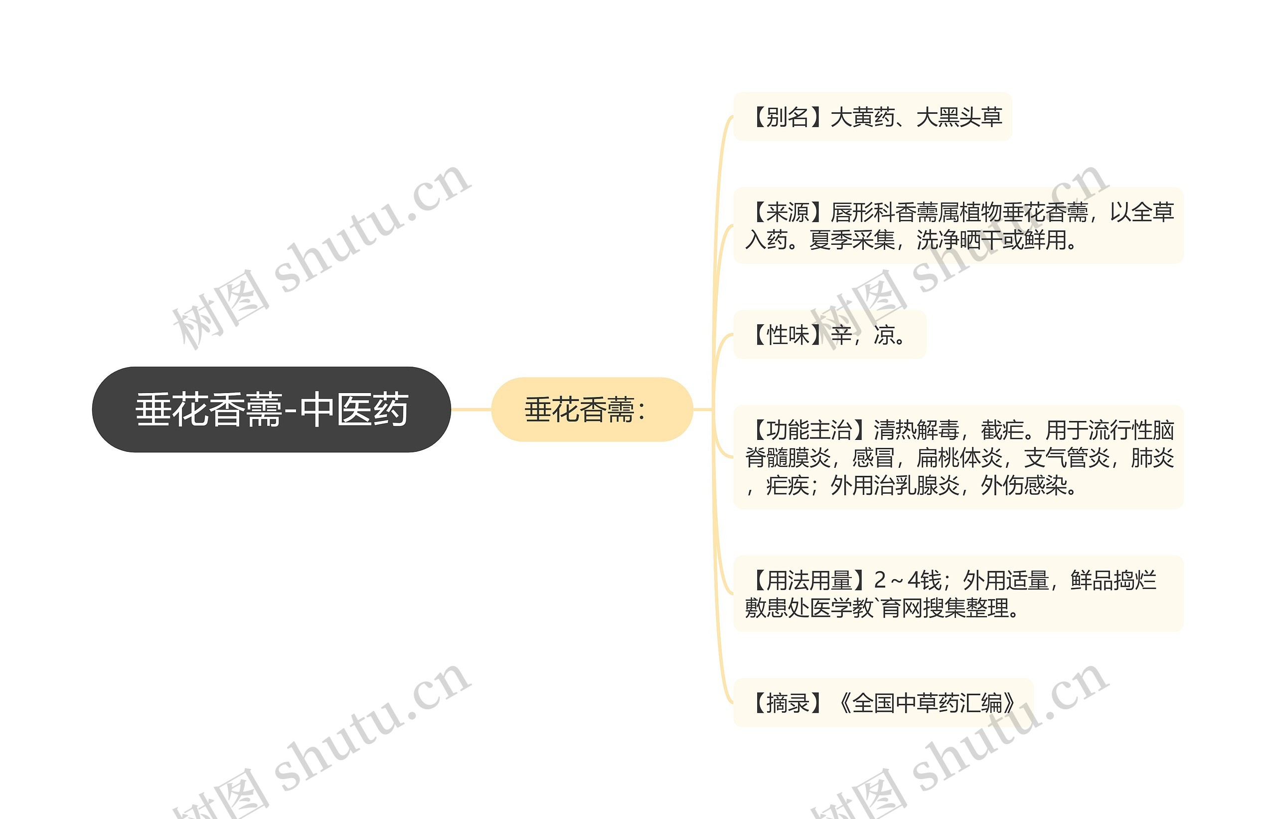 垂花香薷-中医药思维导图