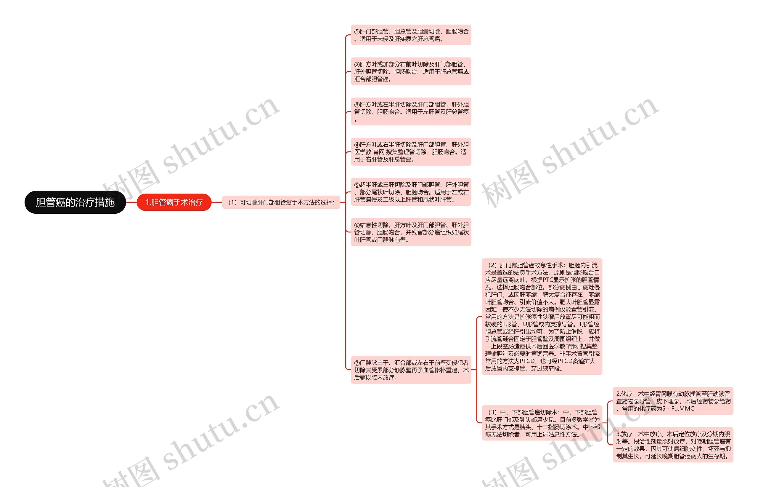 胆管癌的治疗措施思维导图