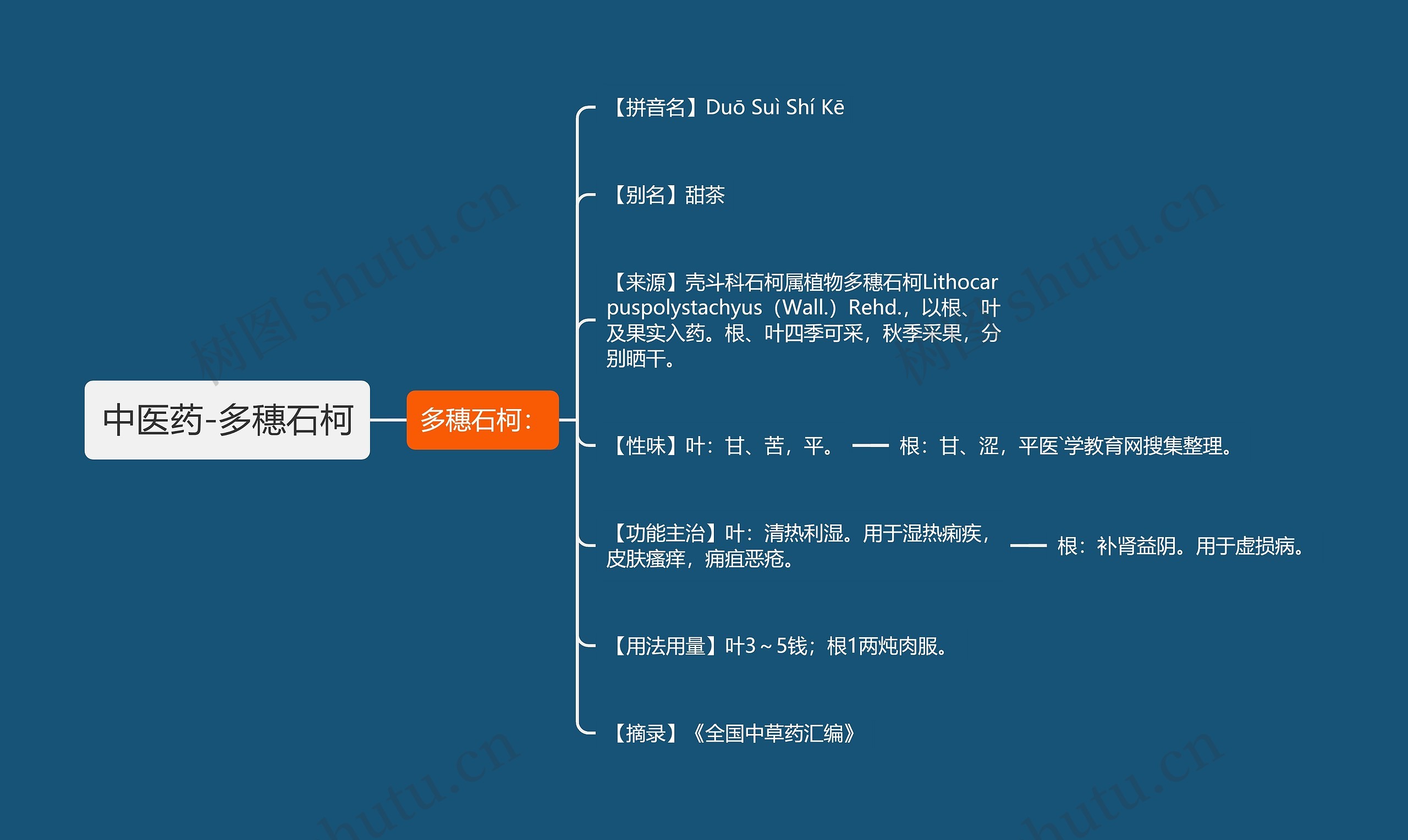 中医药-多穗石柯 中医药-多穗石柯