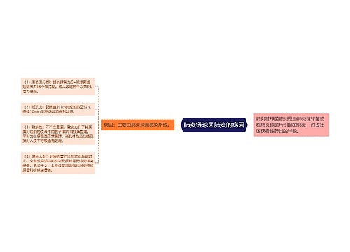 肺炎链球菌肺炎的病因