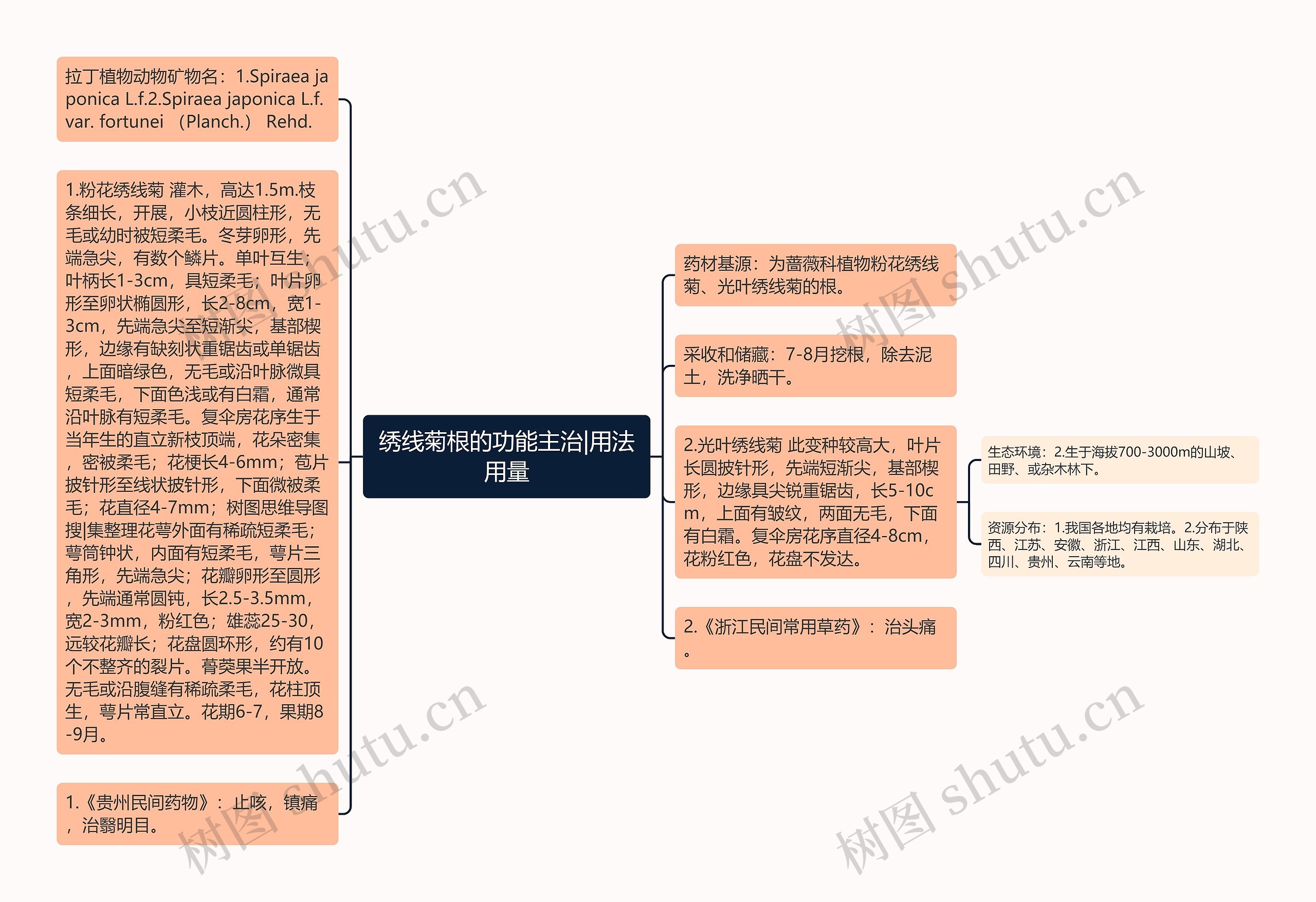 绣线菊根的功能主治|用法用量思维导图