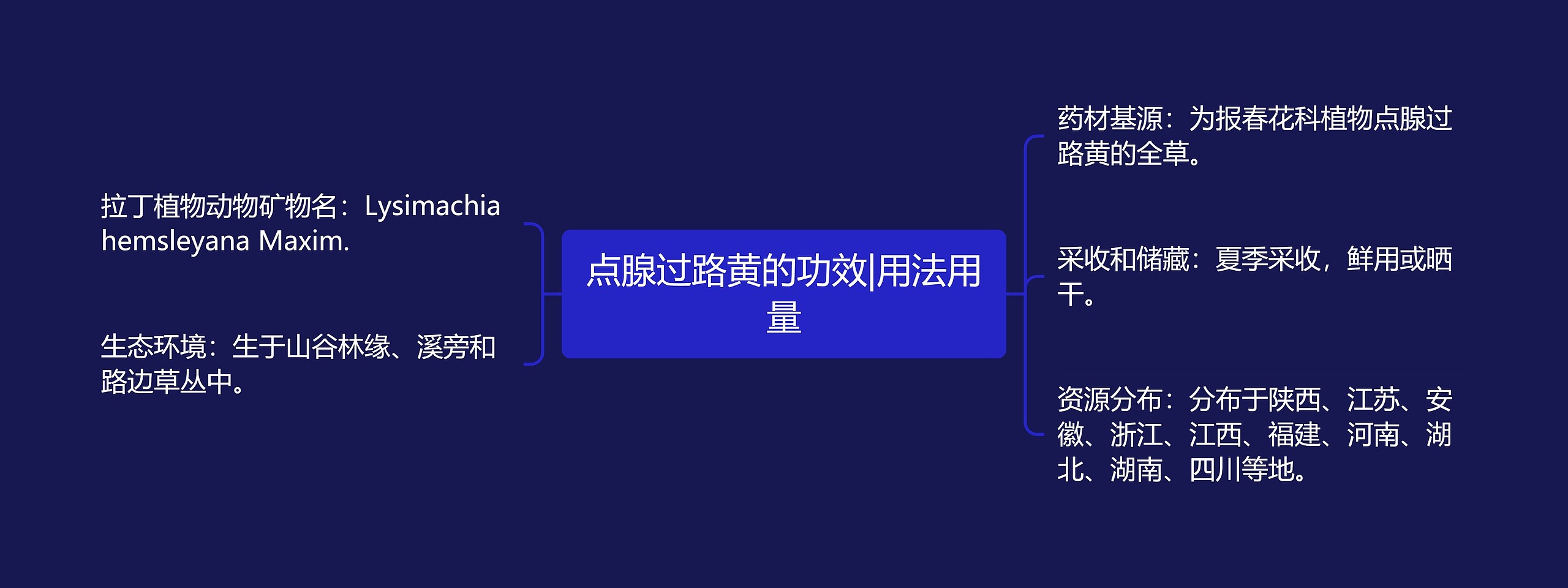 点腺过路黄的功效|用法用量