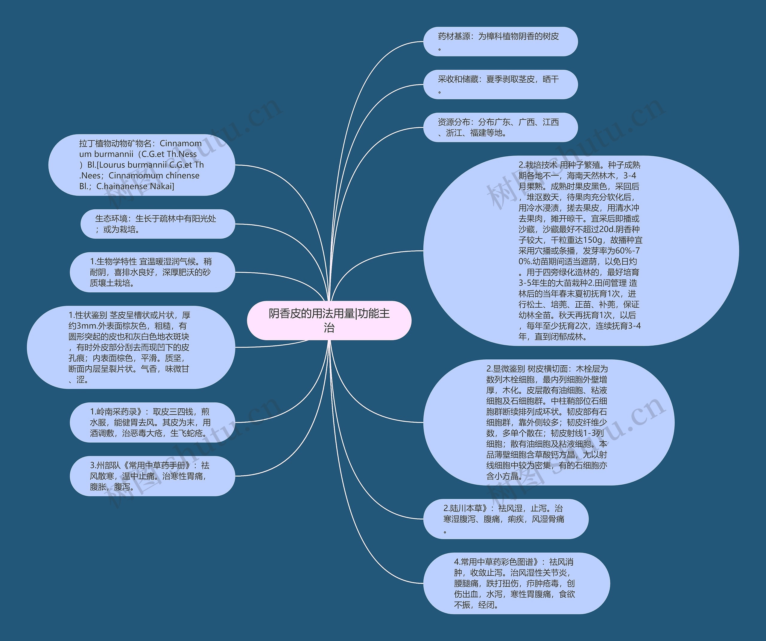 阴香皮的用法用量|功能主治思维导图