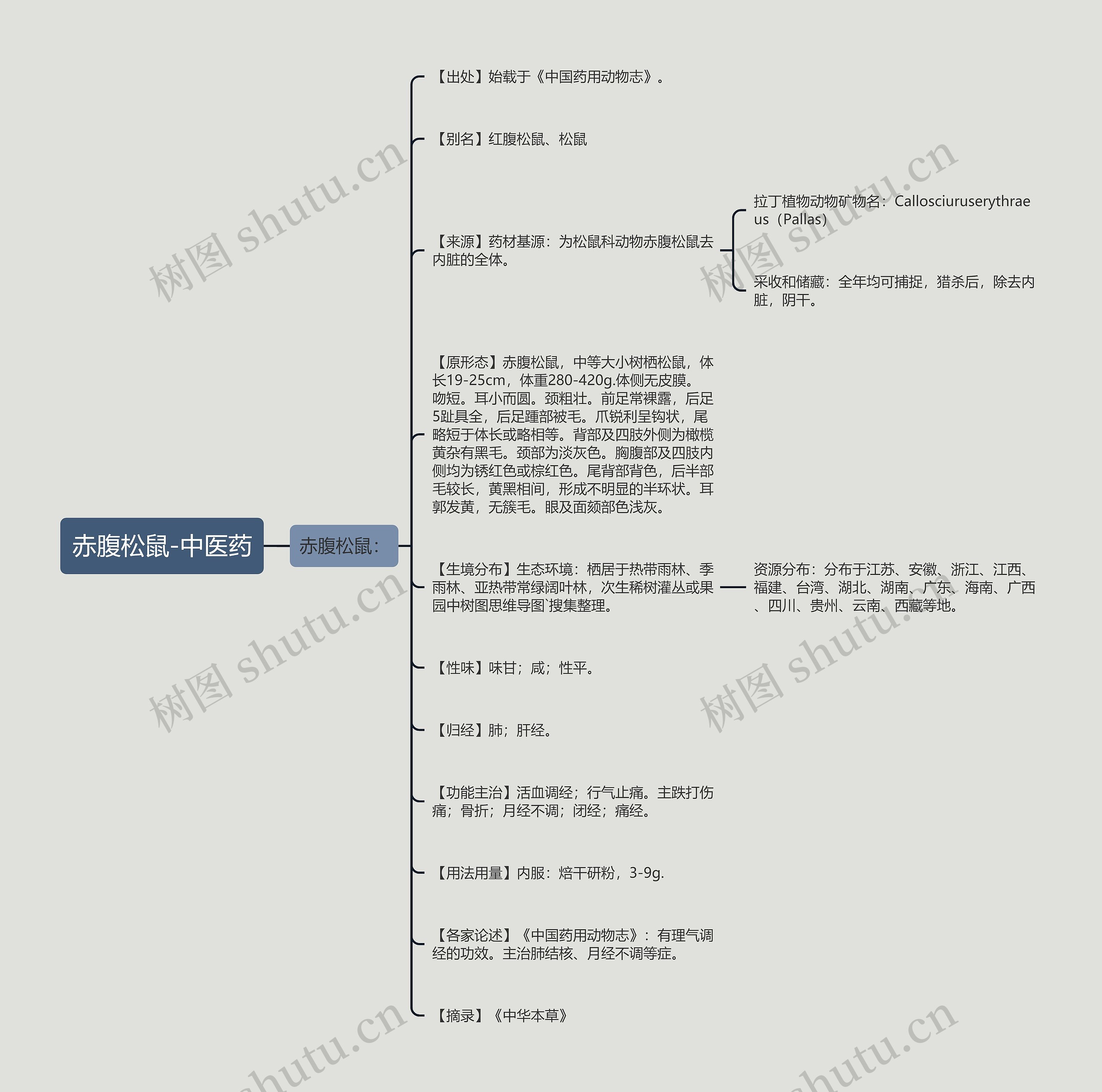赤腹松鼠-中医药思维导图