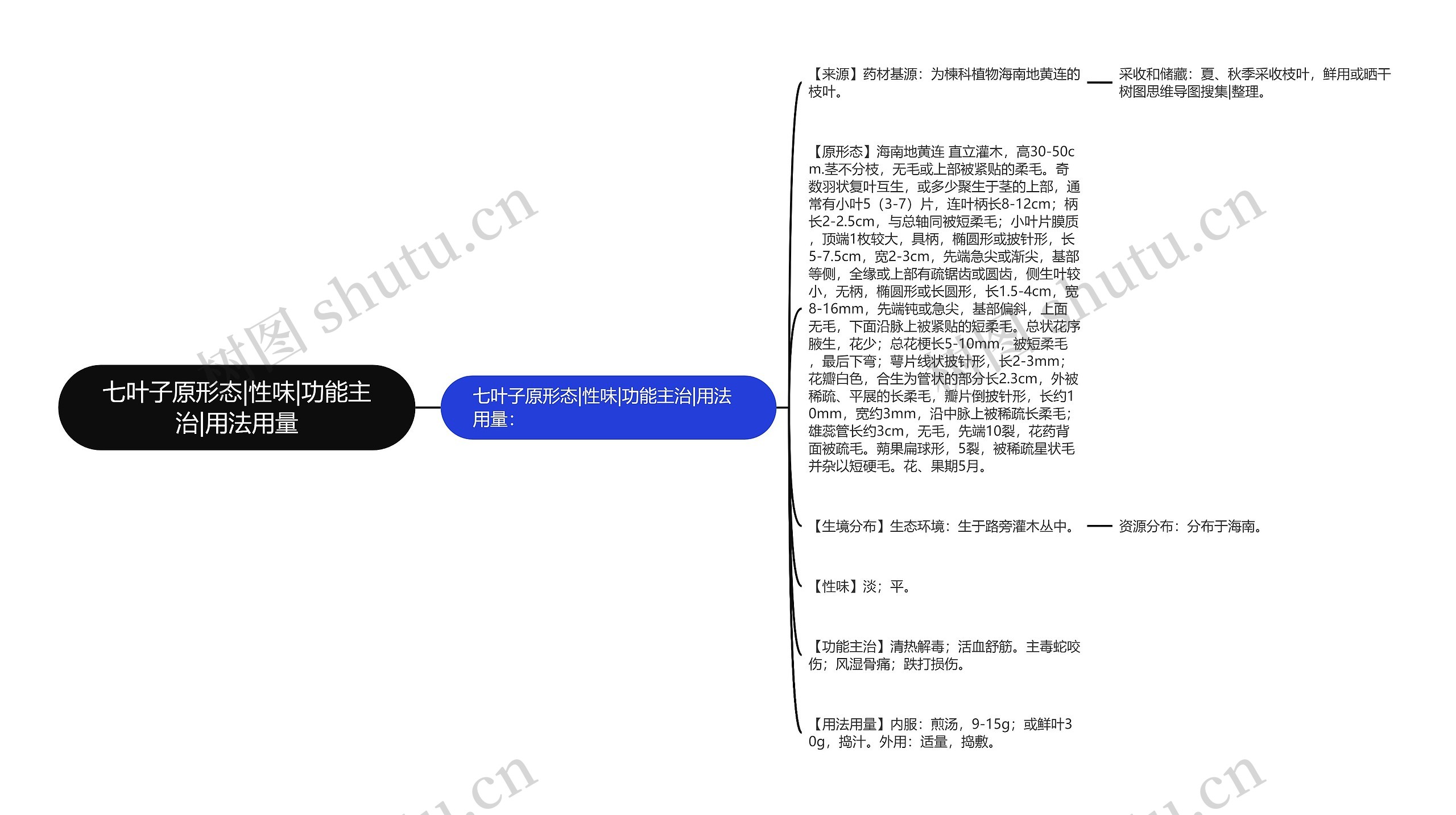 七叶子原形态|性味|功能主治|用法用量