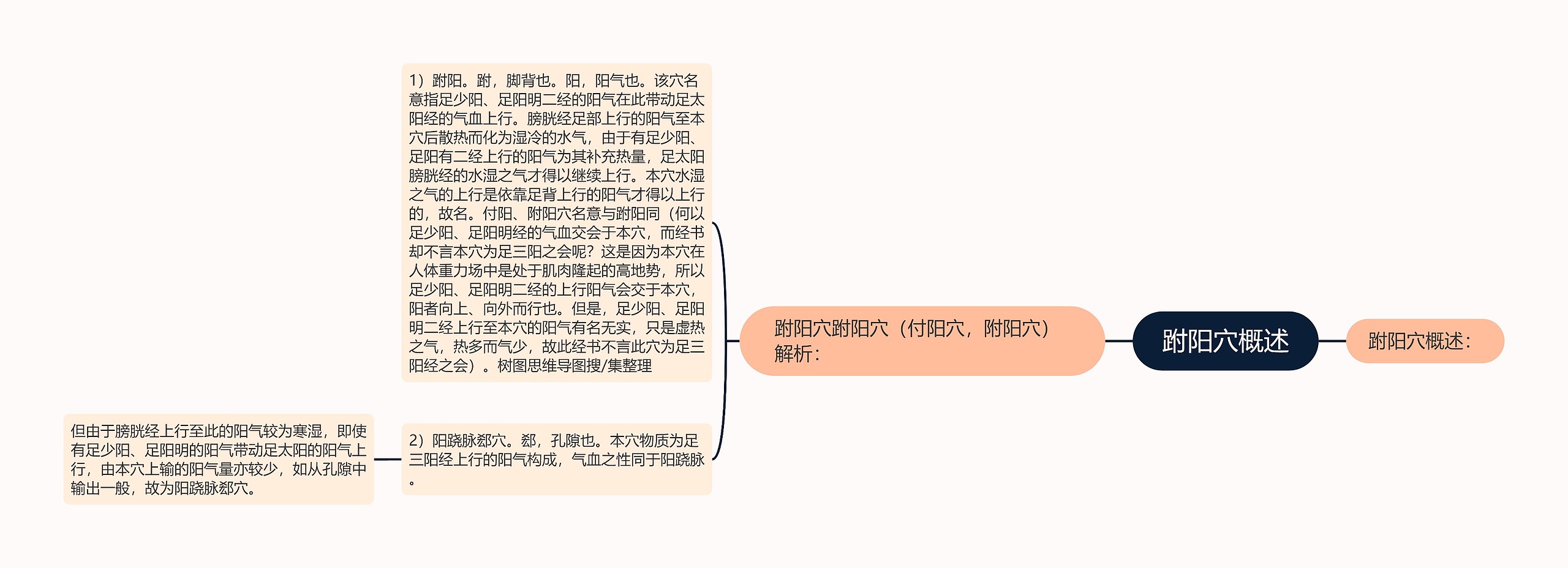 跗阳穴概述 跗阳穴概述