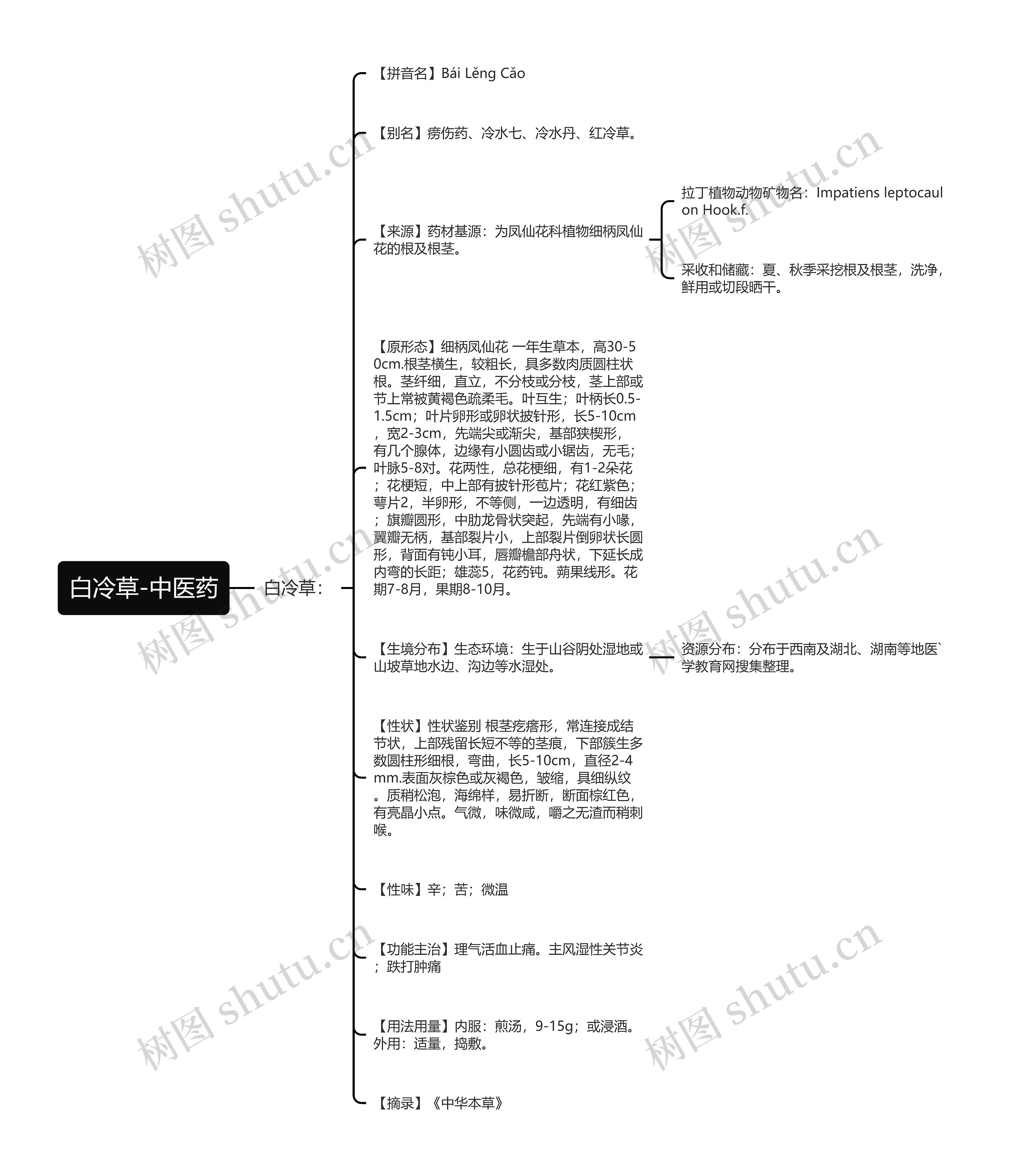 白冷草-中医药思维导图