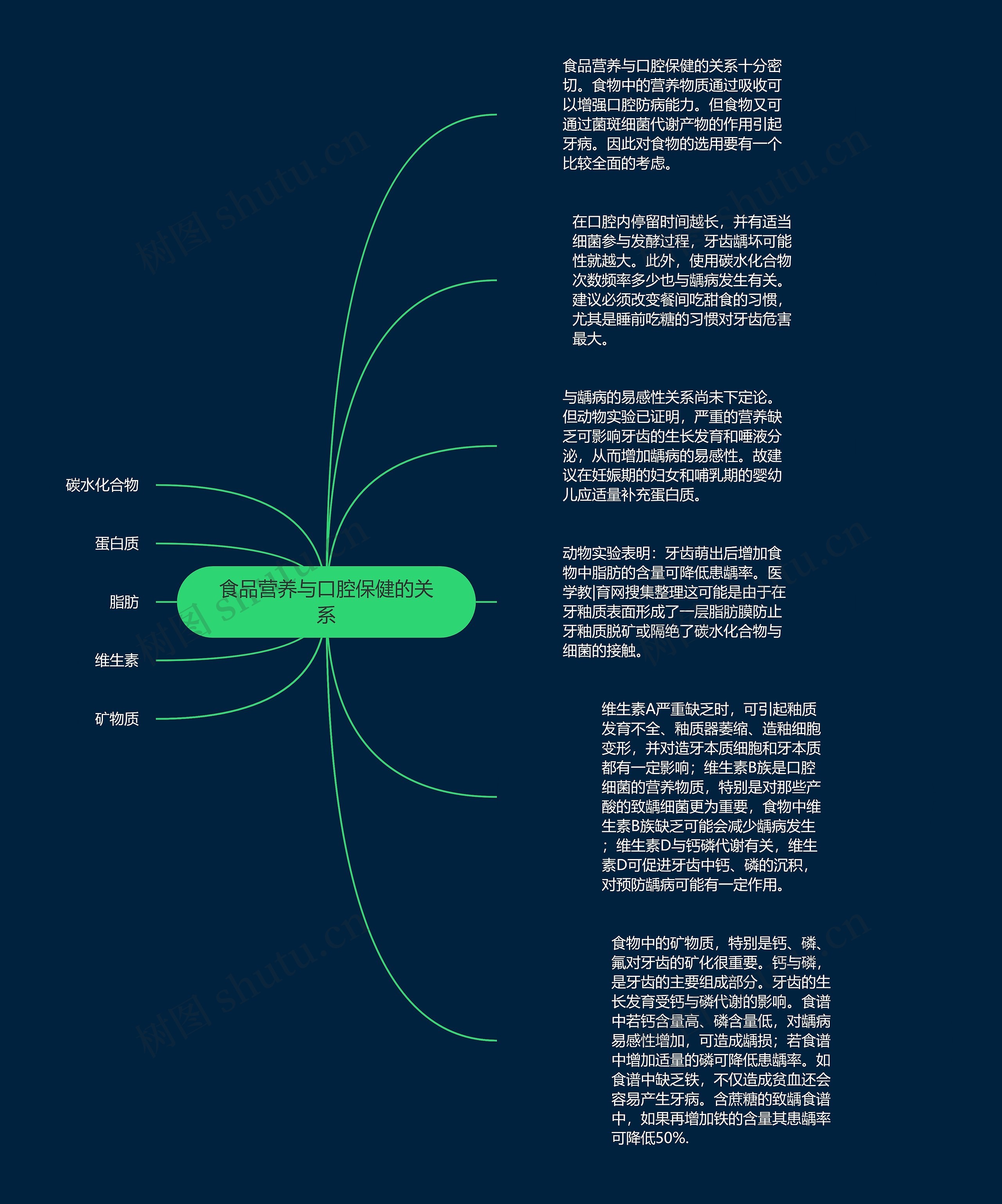 食品营养与口腔保健的关系思维导图