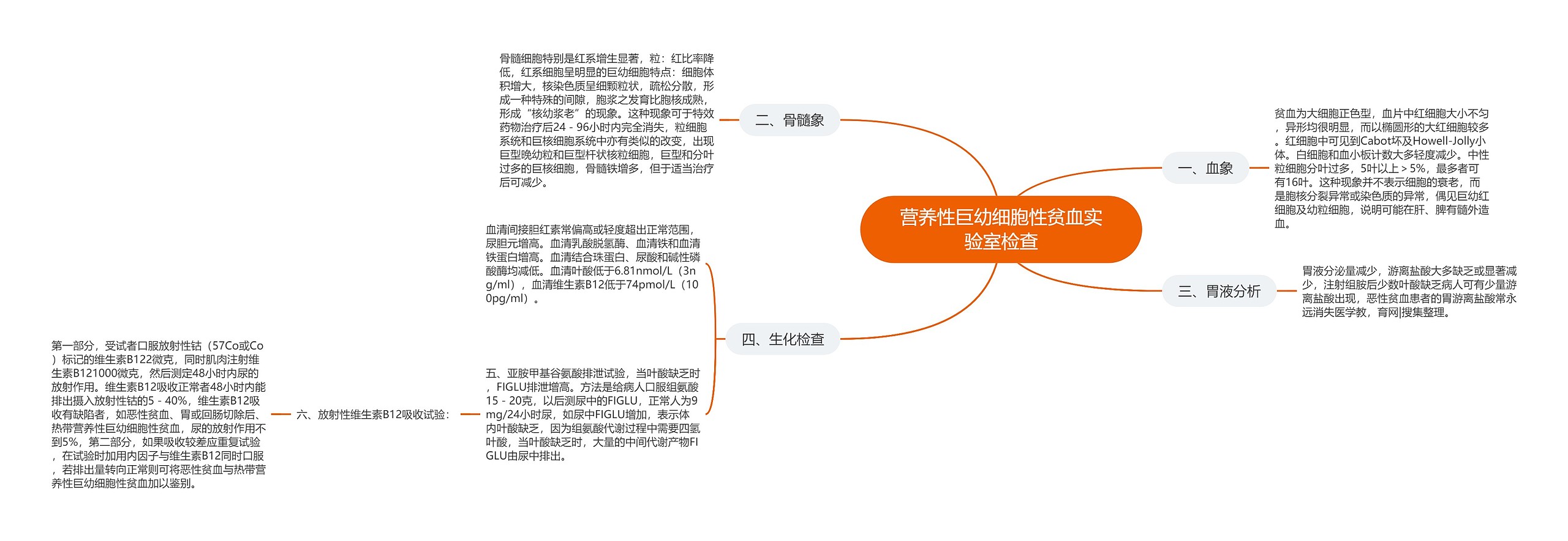 营养性巨幼细胞性贫血实验室检查思维导图