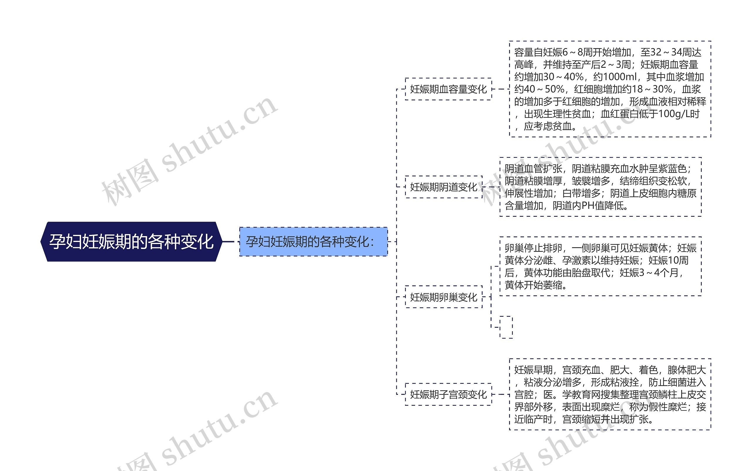 孕妇妊娠期的各种变化思维导图