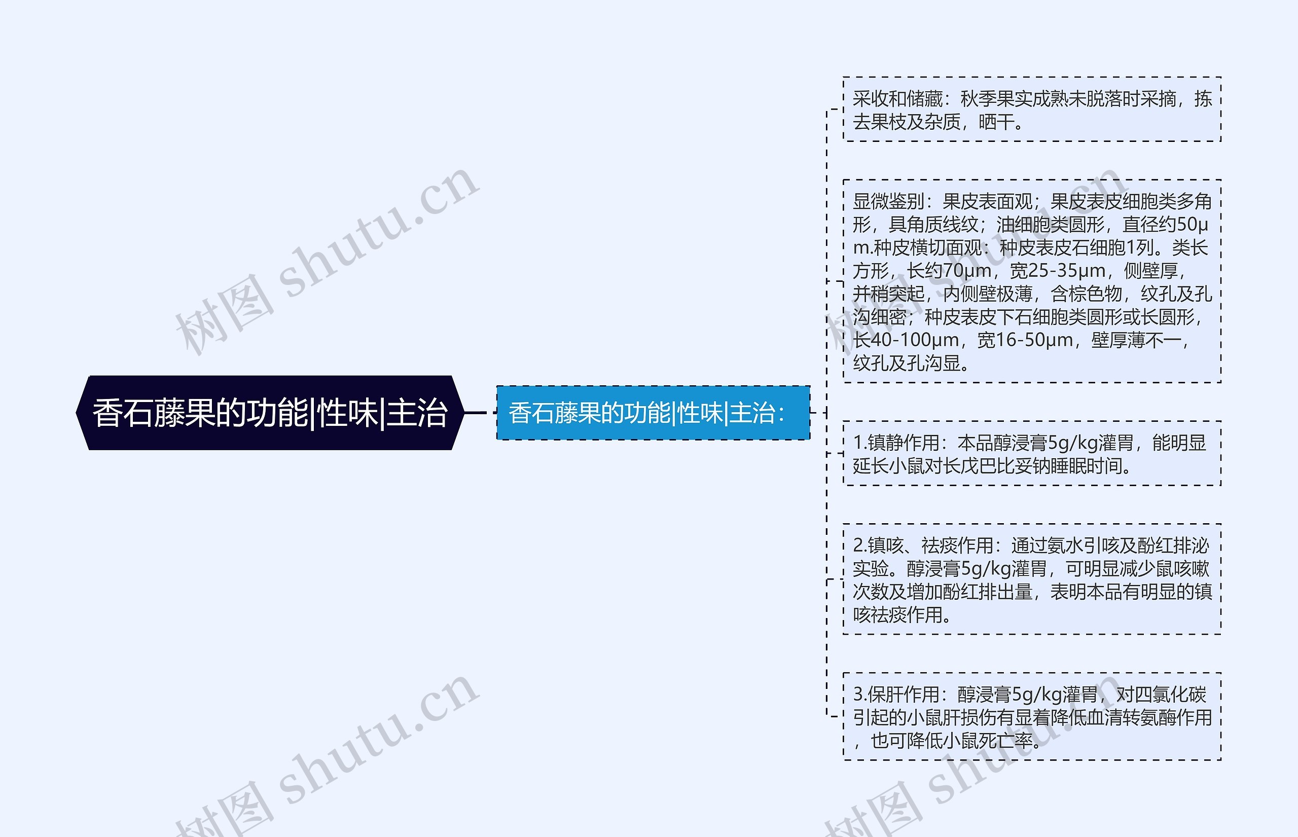 香石藤果的功能|性味|主治 香石藤果的功能|性味|主治