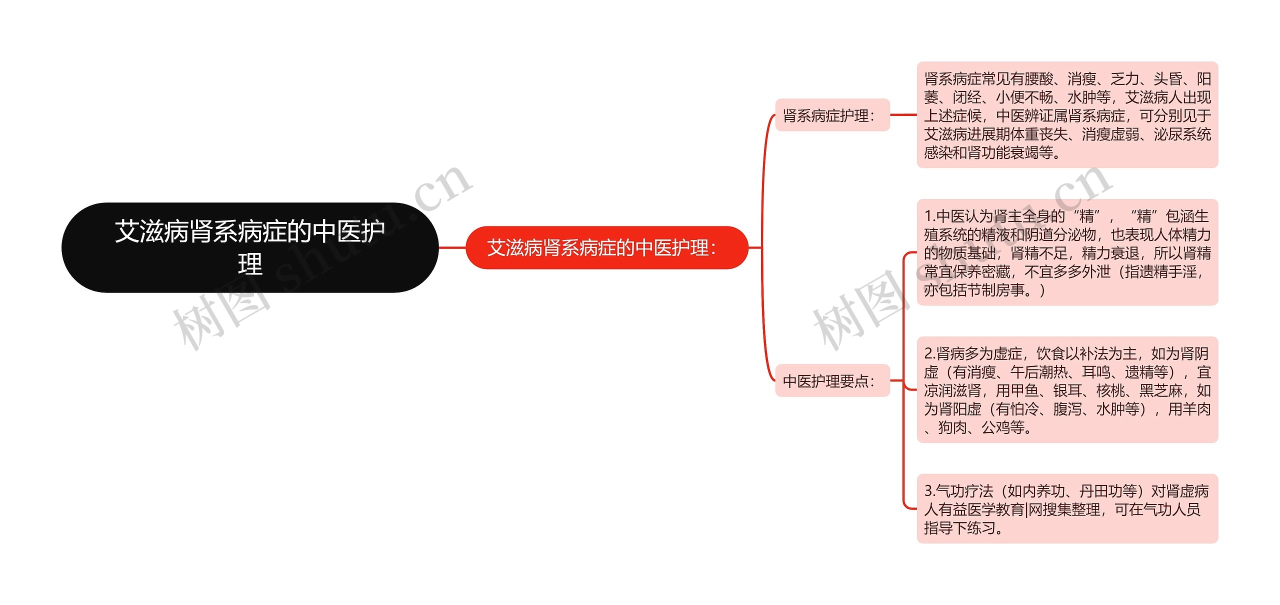 艾滋病肾系病症的中医护理思维导图