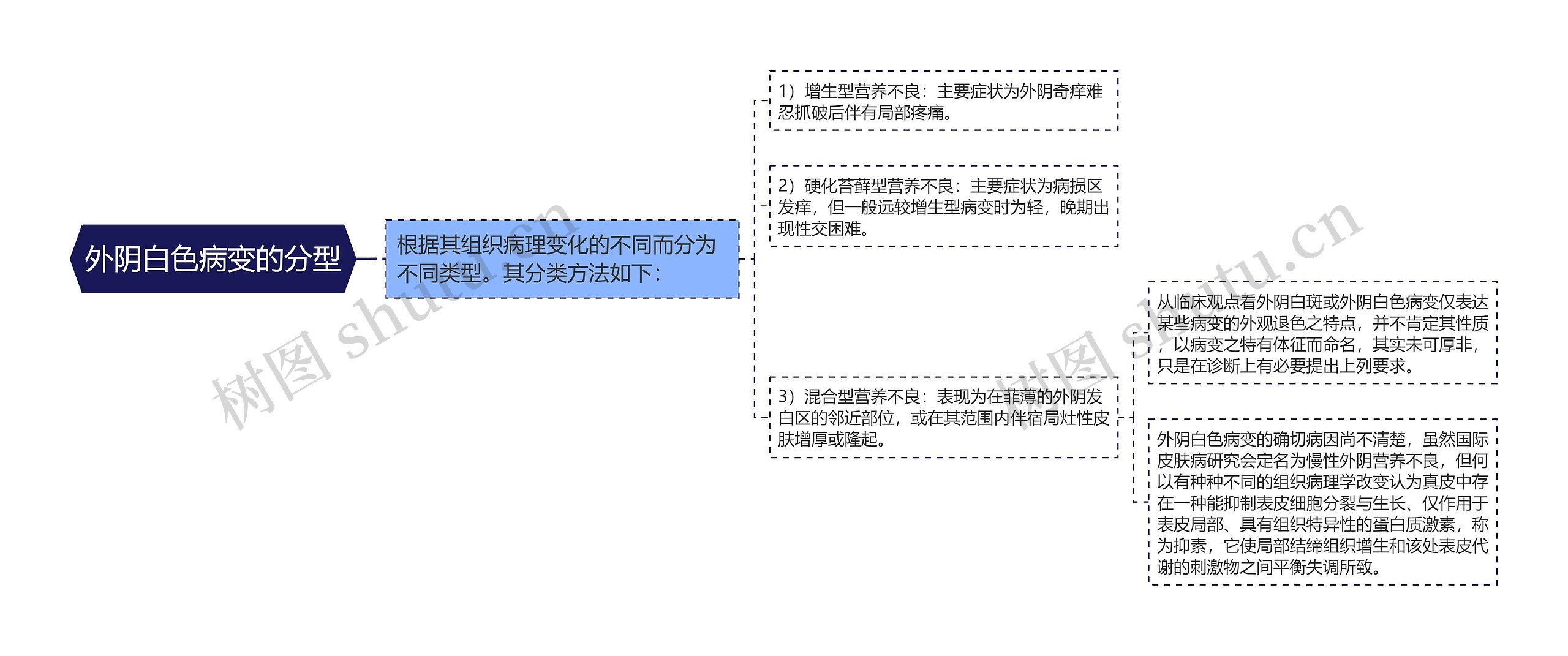 外阴白色病变的分型思维导图