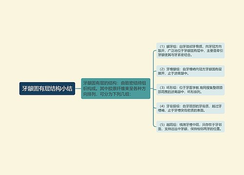 牙龈固有层结构小结