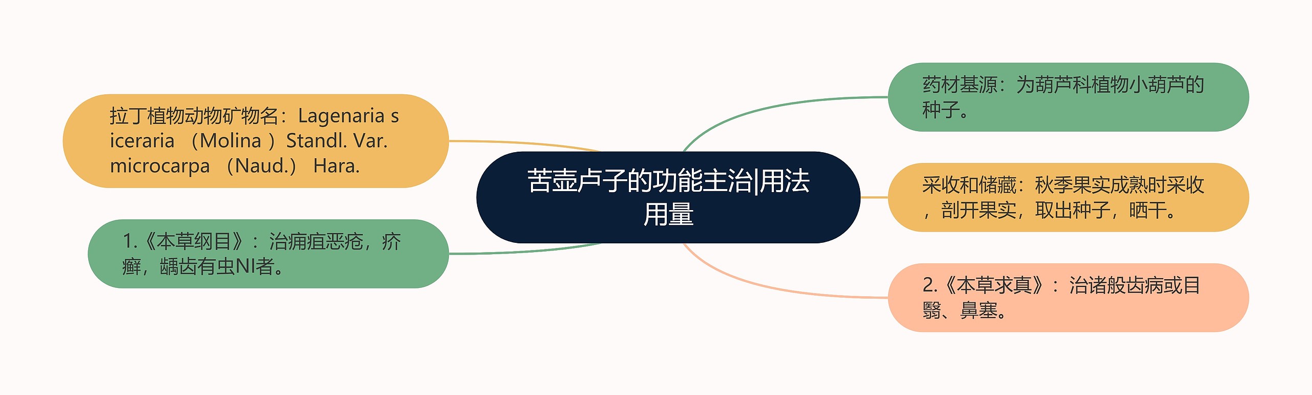 苦壶卢子的功能主治|用法用量 苦壶卢子的功能主治|用法用量