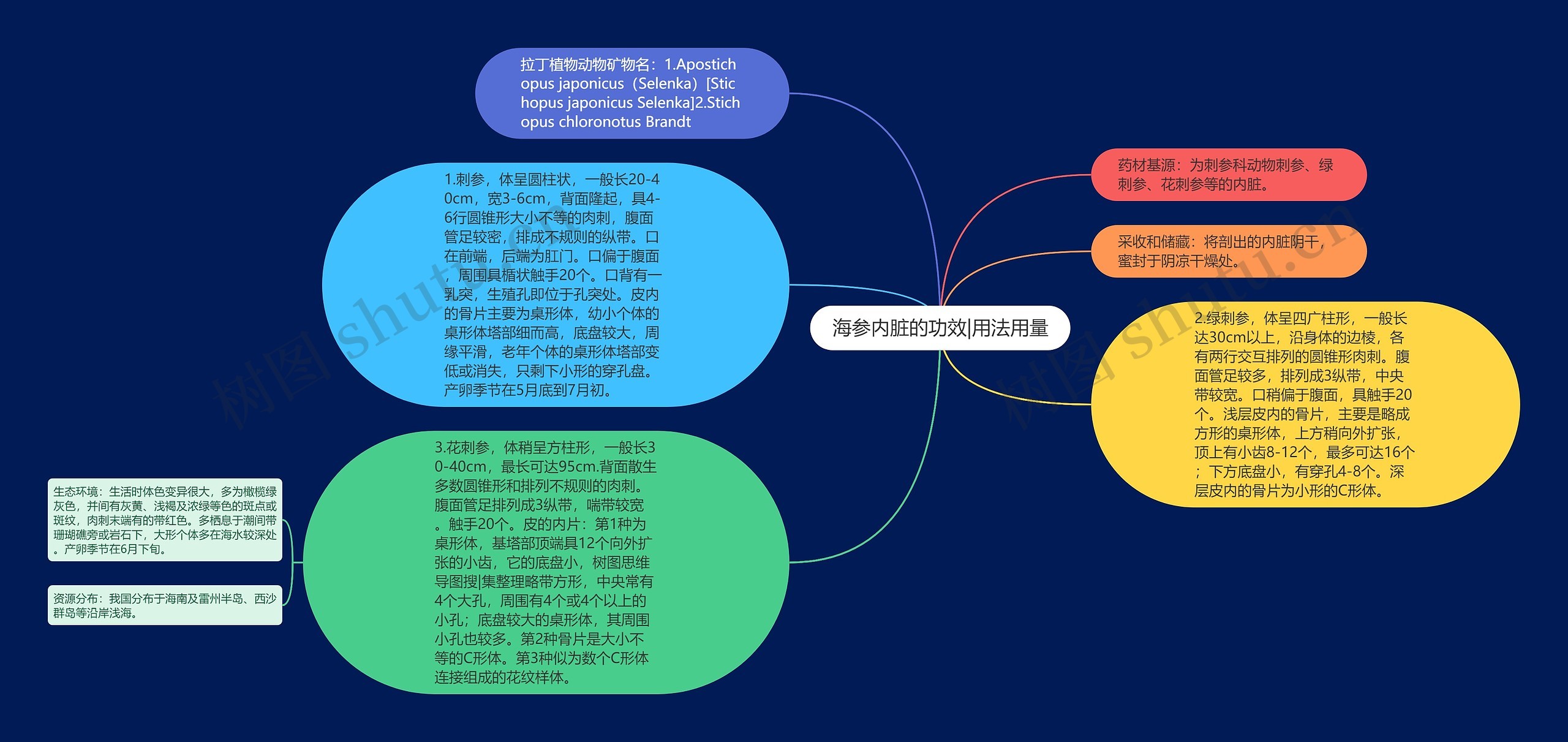 海参内脏的功效|用法用量思维导图