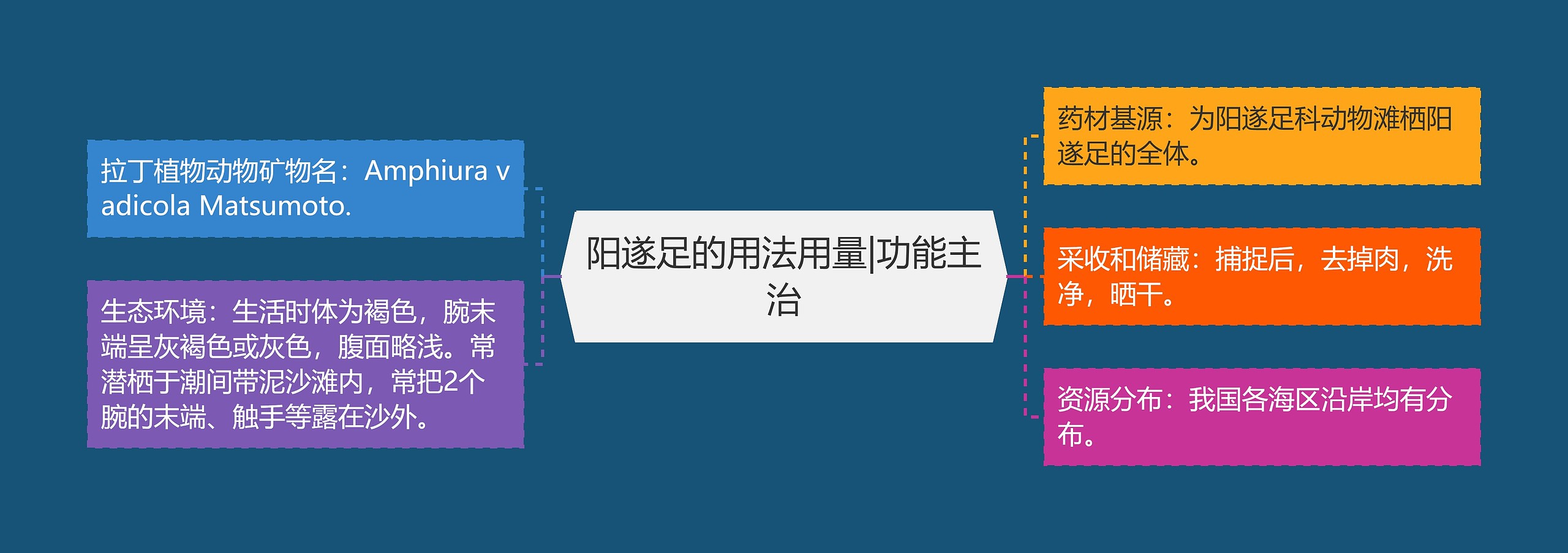 阳遂足的用法用量|功能主治 阳遂足的用法用量|功能主治
