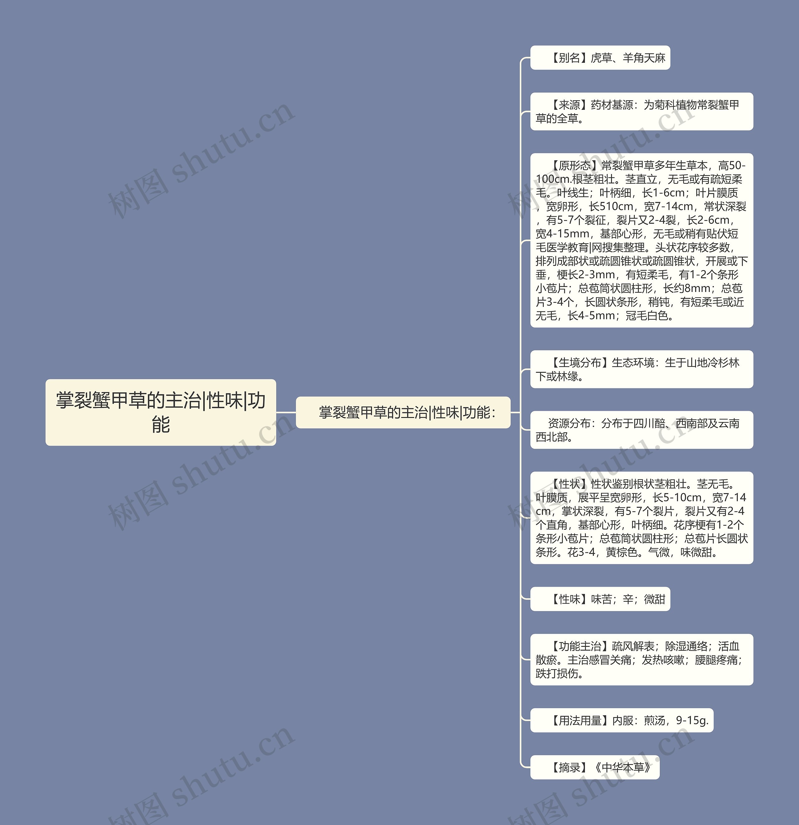 掌裂蟹甲草的主治|性味|功能思维导图