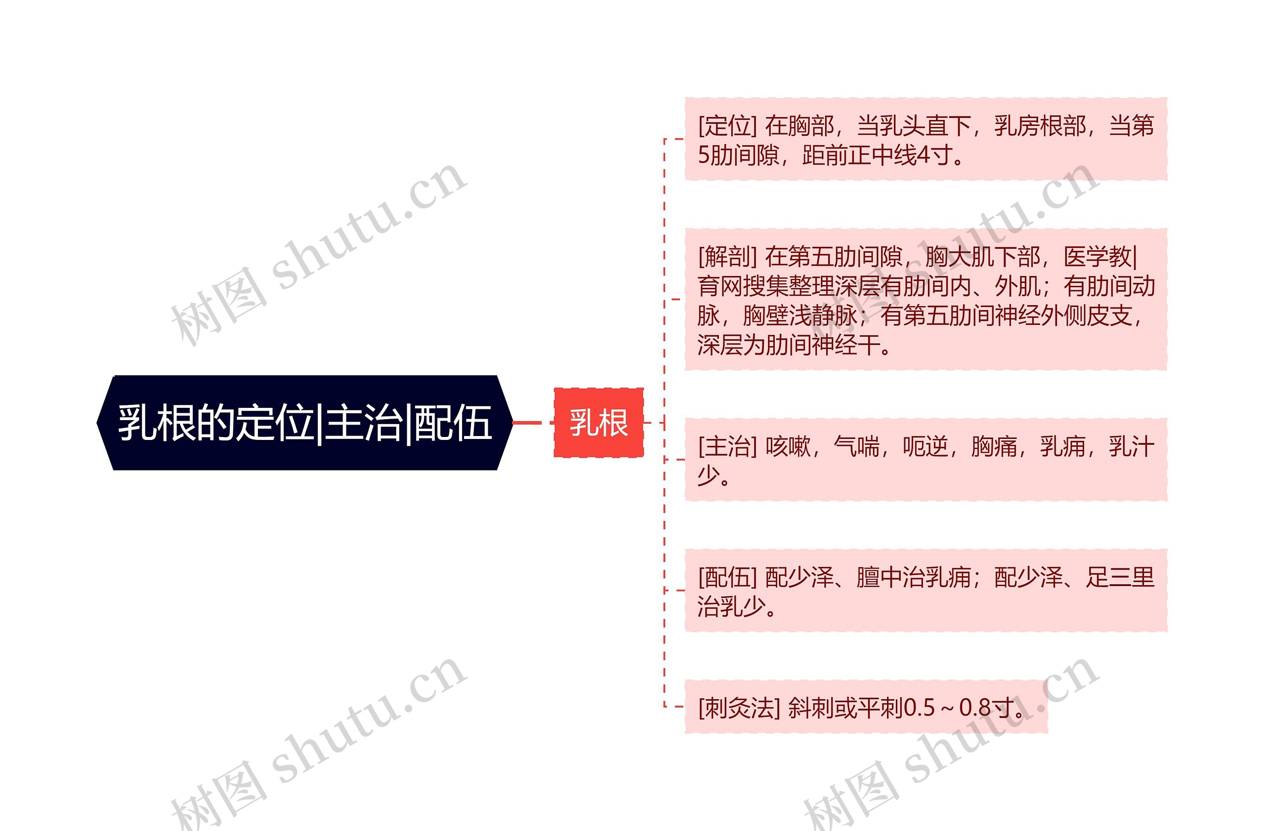 乳根的定位|主治|配伍 乳根的定位|主治|配伍