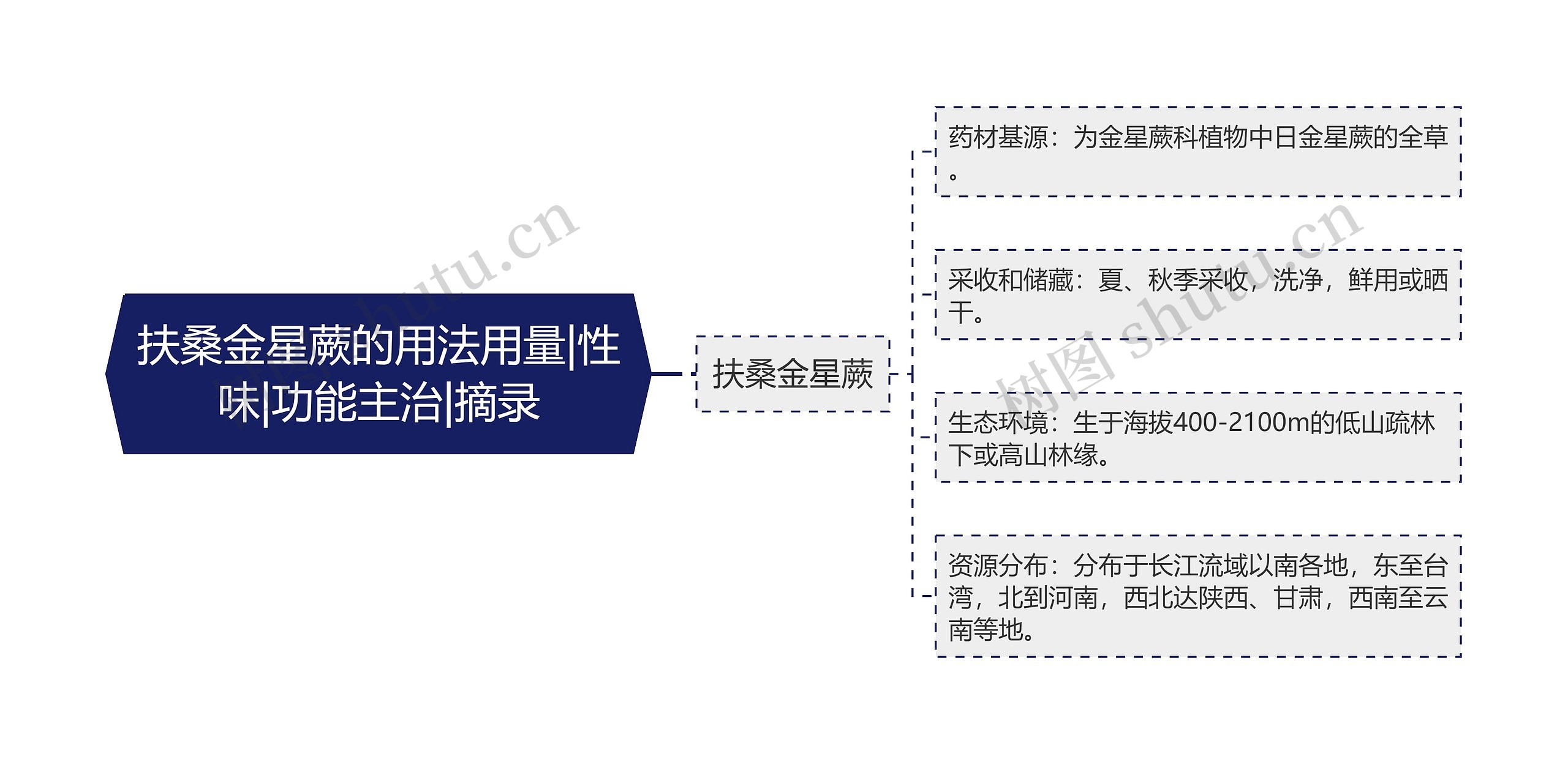 扶桑金星蕨的用法用量|性味|功能主治|摘录思维导图