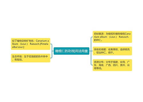 橄榄仁的功效|用法用量