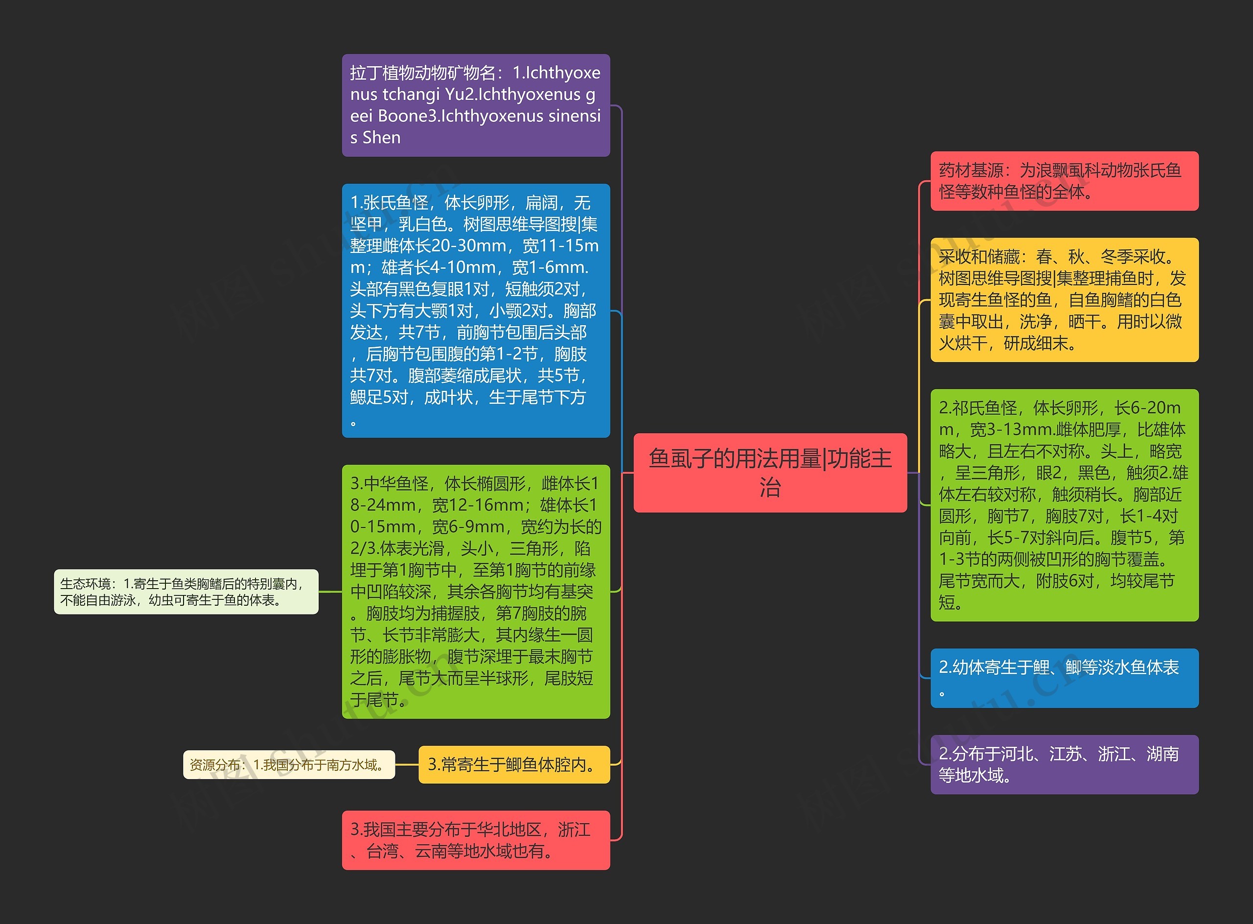 鱼虱子的用法用量|功能主治思维导图