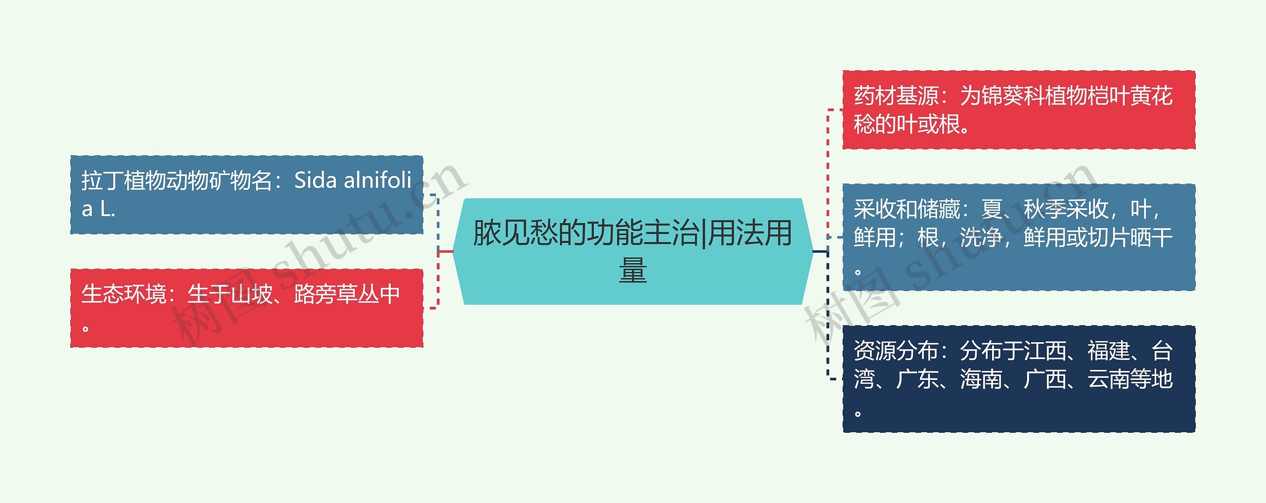 脓见愁的功能主治|用法用量思维导图