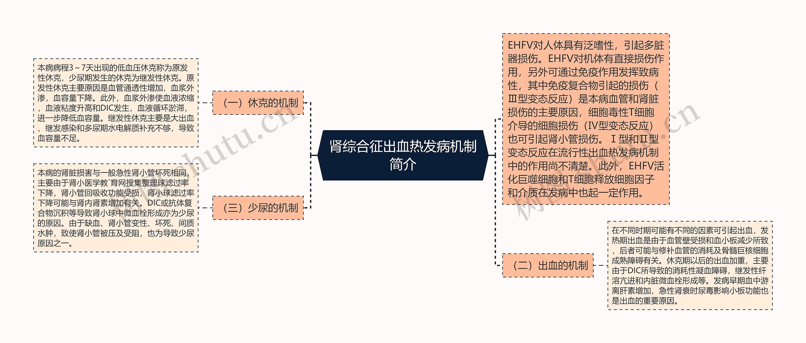 肾综合征出血热发病机制简介思维导图